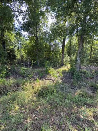 $81,900 | 0 Bear Island Road, Maurepas, LA 70449