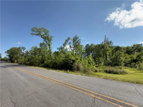 $81,900 | 0 Bear Island Road, Maurepas, LA 70449