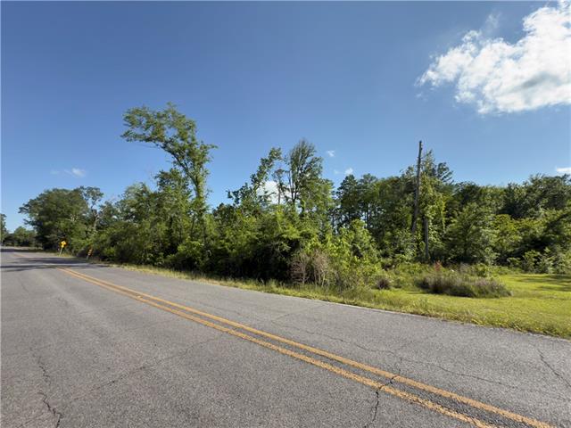 0 Bear Island Road Maurepas, LA 70449 - Photo 3 of 10