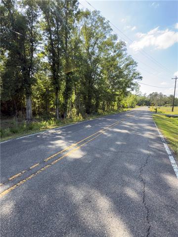 0 Bear Island Road Maurepas, LA 70449 - Photo 5 of 10
