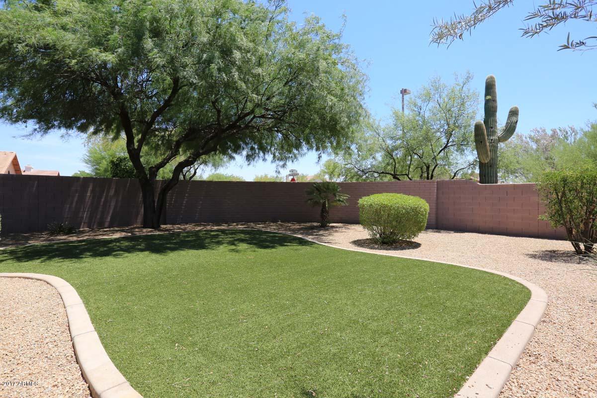 4625 East Swilling Road Phoenix, AZ 85050 - Photo 32 of 33 Backyard2