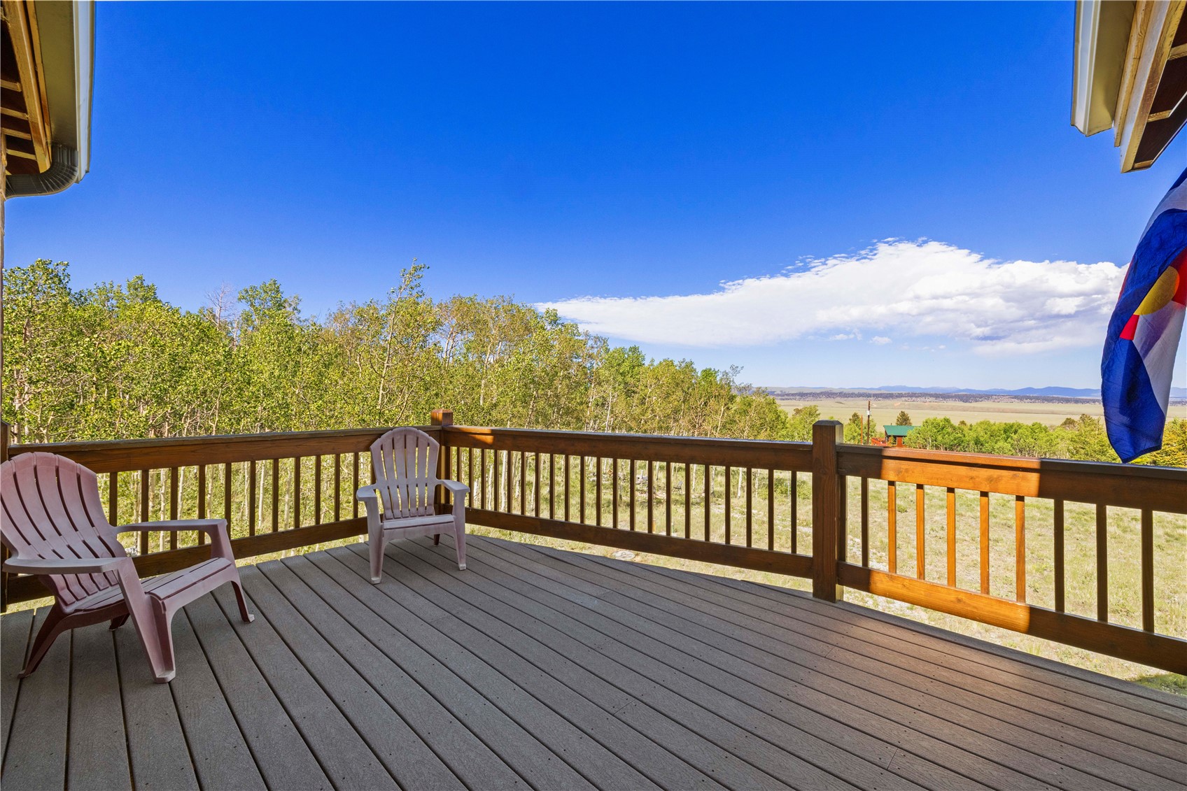 917 Sheep Ridge Road Fairplay, CO 80440 - Photo 38 of 50