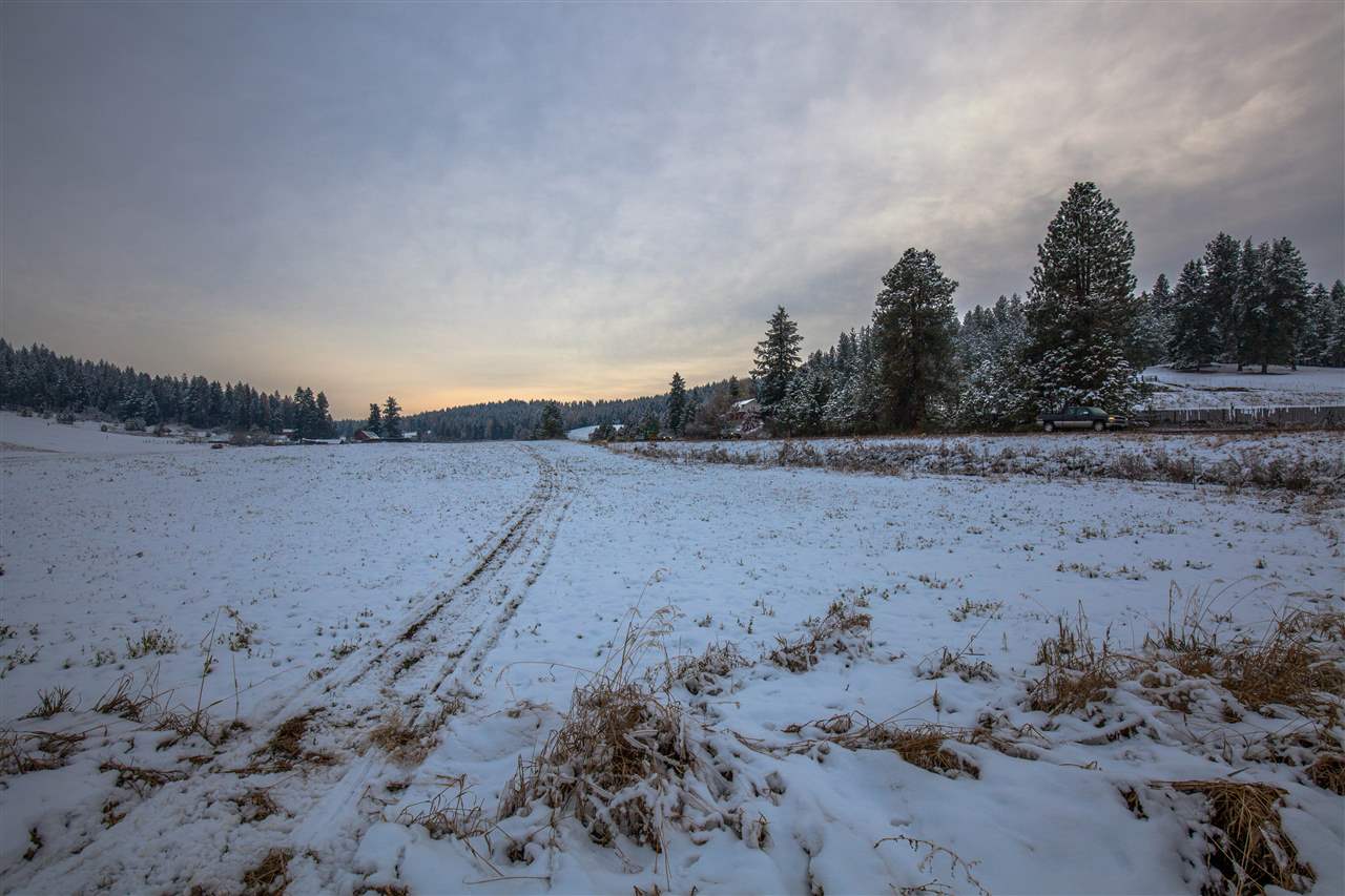 Xx North Bruce Road Spokane, WA 99217 - Photo 16 of 18