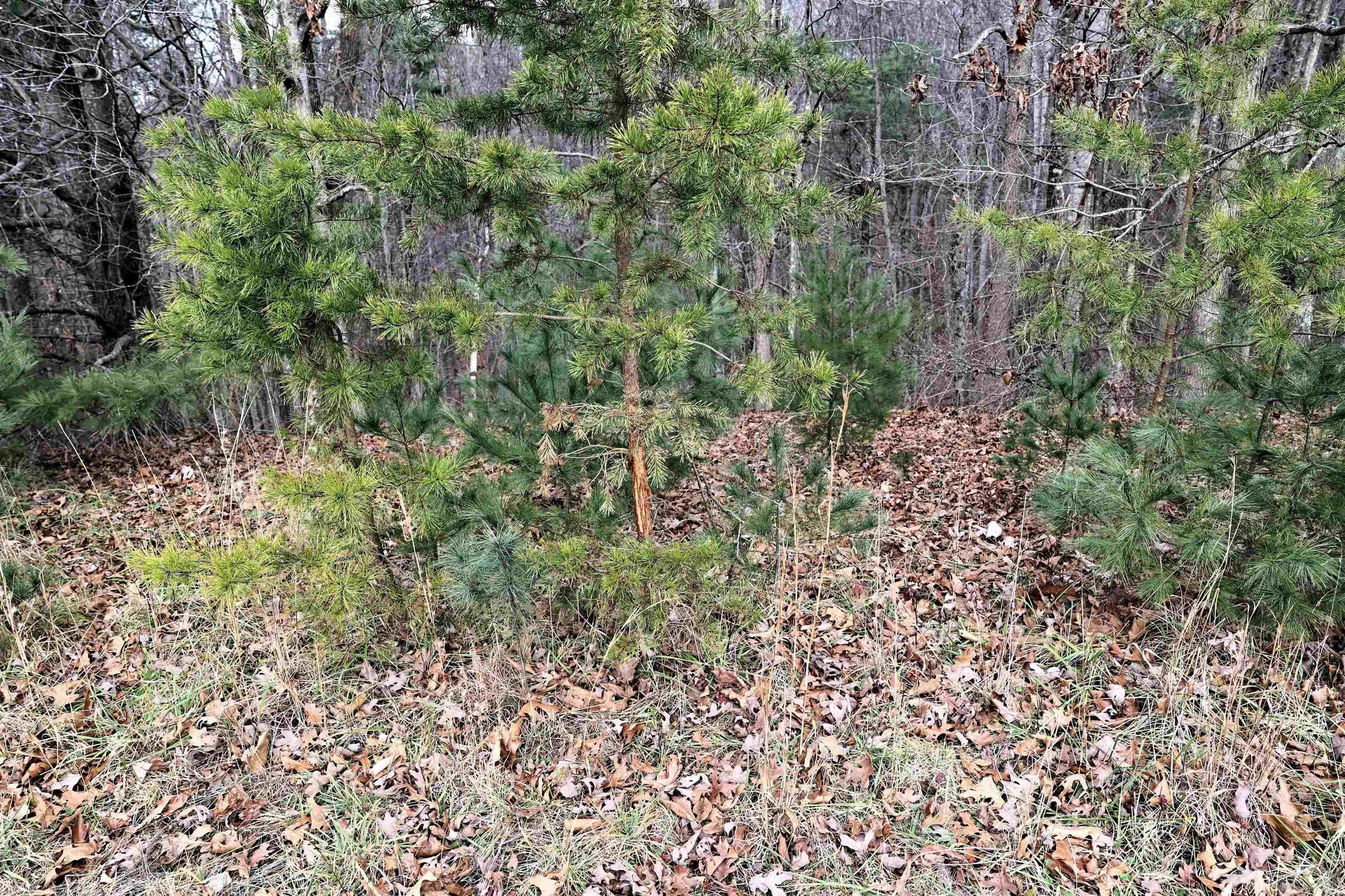 809 Huffville Road Northeast Pilot, VA 24138 - Photo 18 of 37 Gallery Image 18