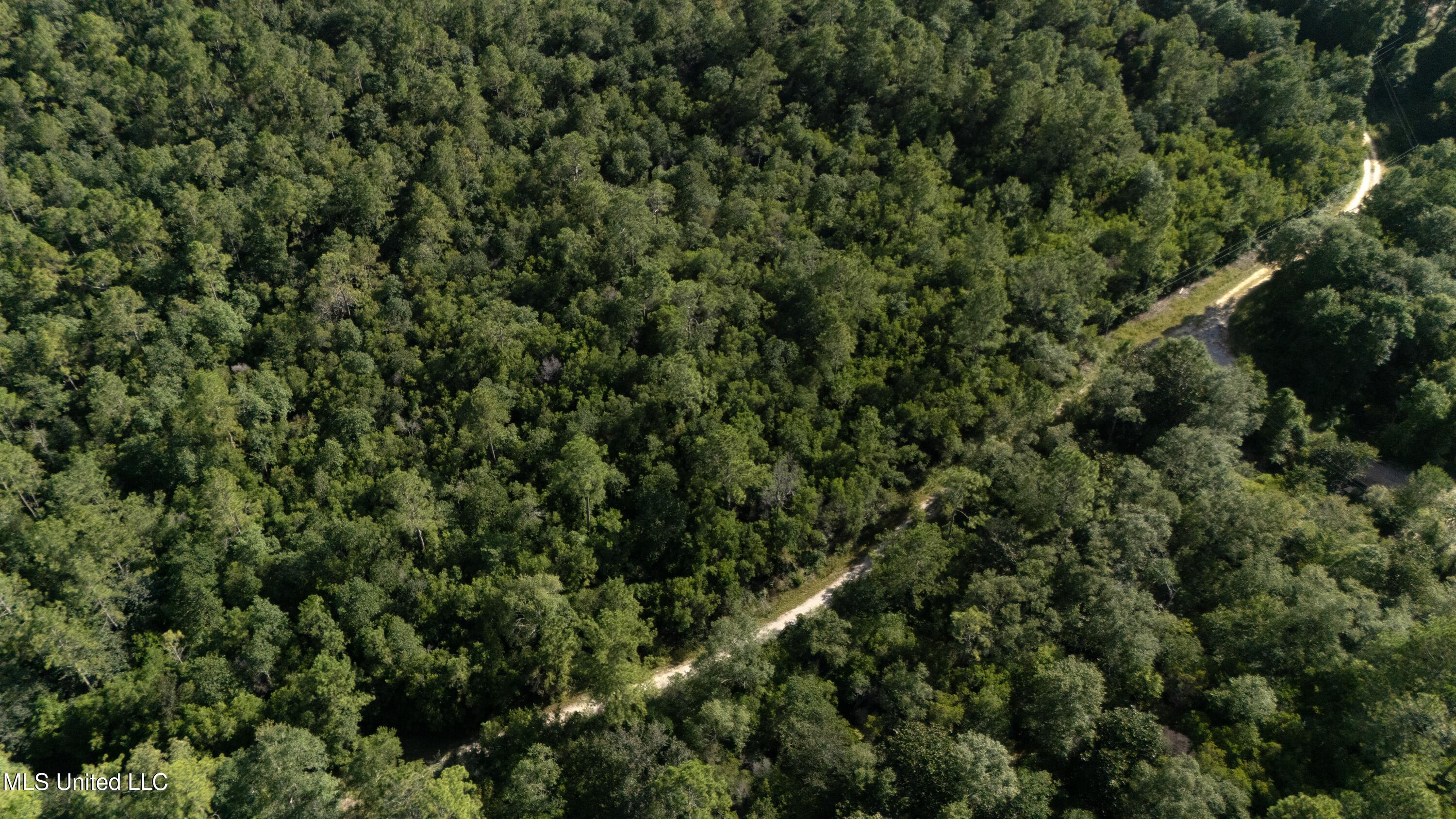 Old Kelly Rd Drive Vancleave, MS 39565 - Photo 1 of 12 Aerial View