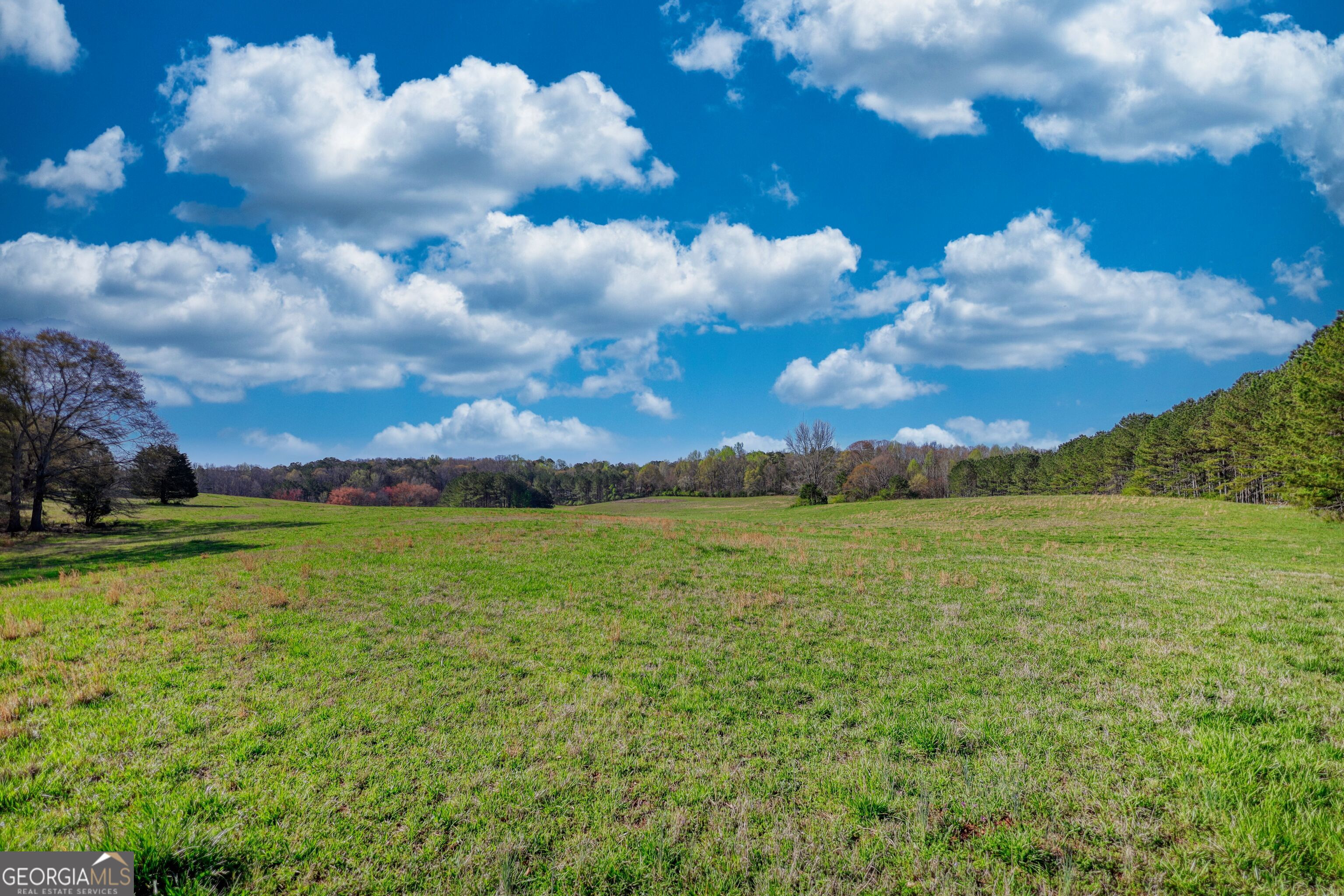 610 Loth Wages Road Dacula, GA 30019 - Photo 12 of 48 a view of a big yard with lots of green space