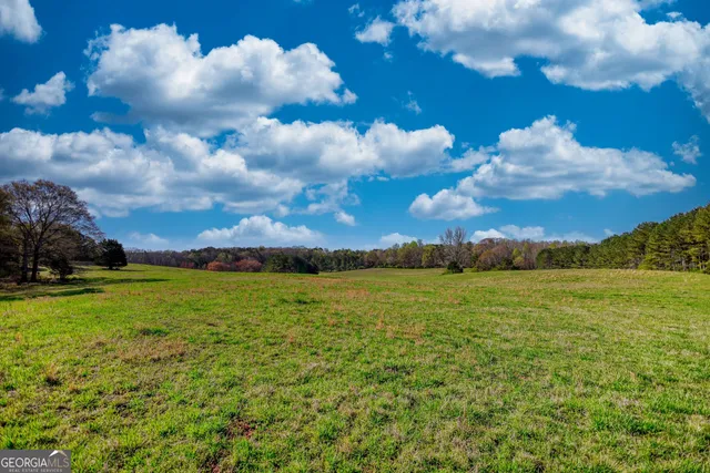 a view of a big yard with lots of green space