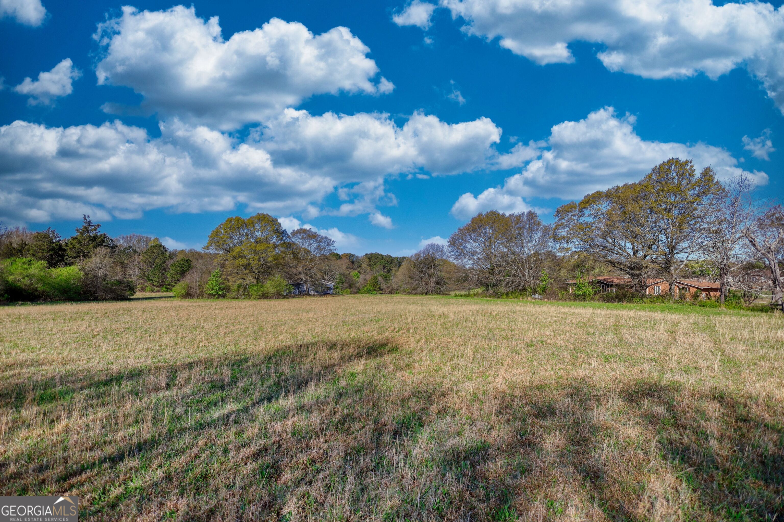610 Loth Wages Road Dacula, GA 30019 - Photo 17 of 48 a view of an outdoor space and yard