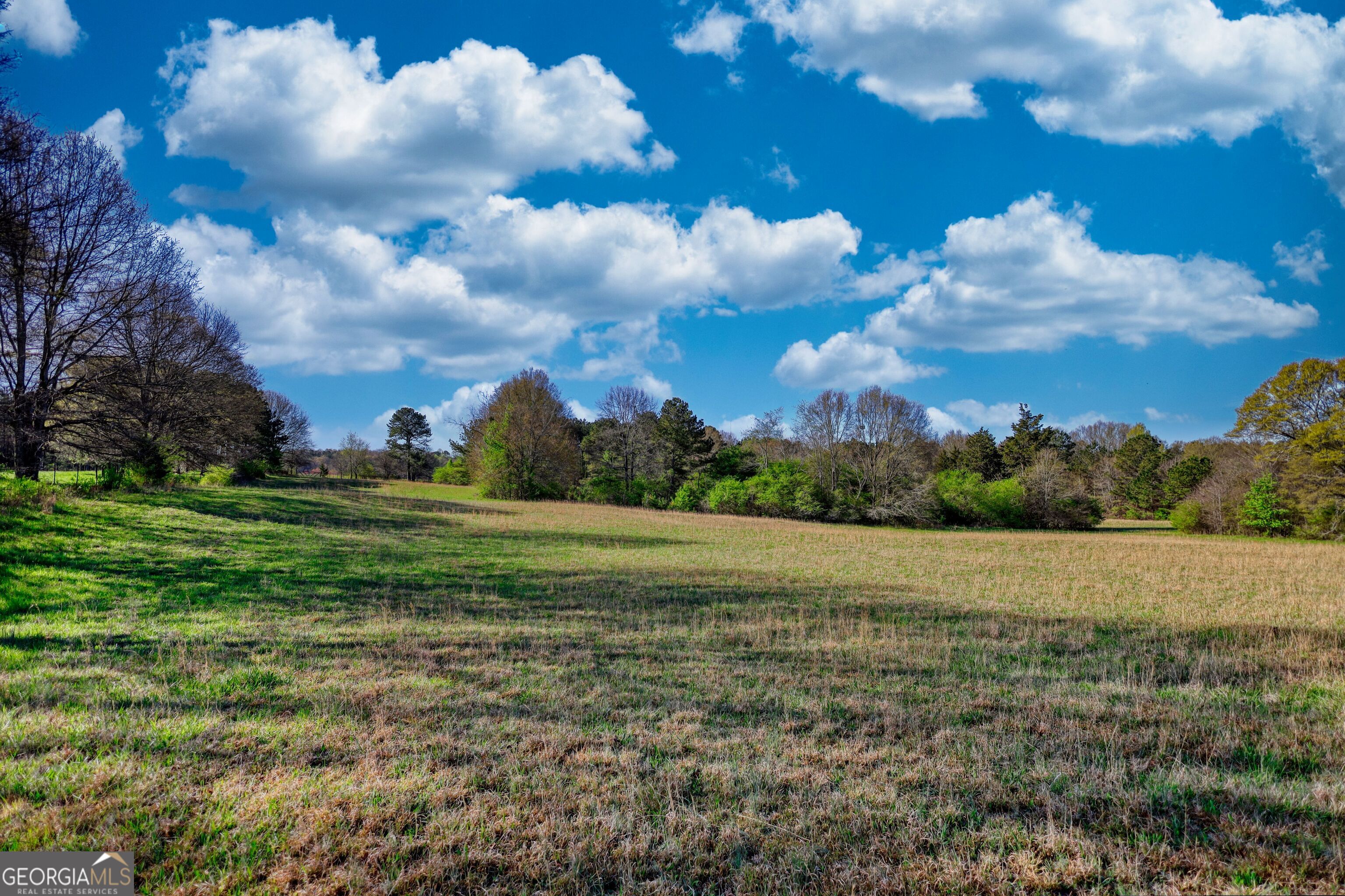 610 Loth Wages Road Dacula, GA 30019 - Photo 18 of 48 a view of an outdoor space and a yard