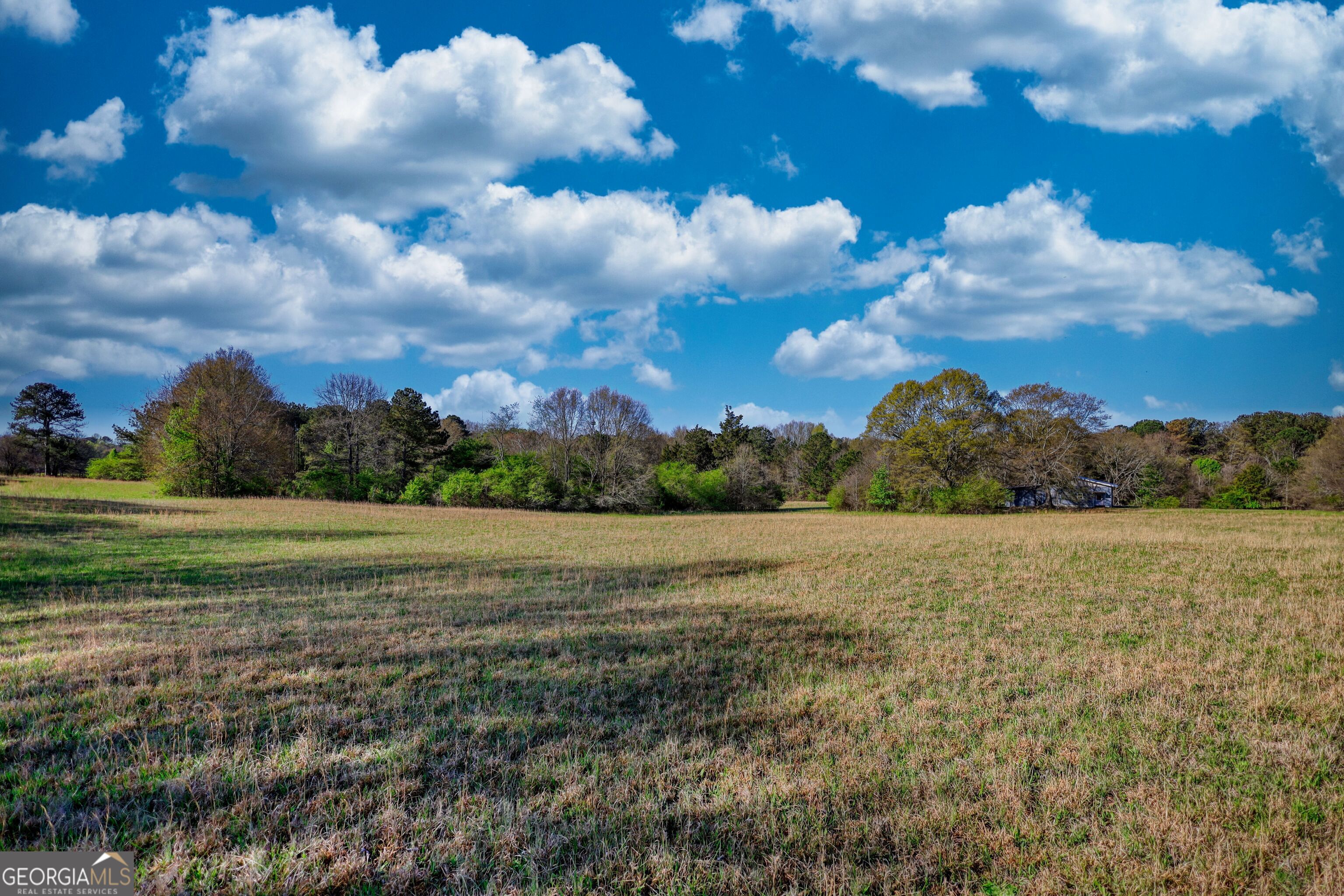 610 Loth Wages Road Dacula, GA 30019 - Photo 19 of 48 a view of an outdoor space and yard