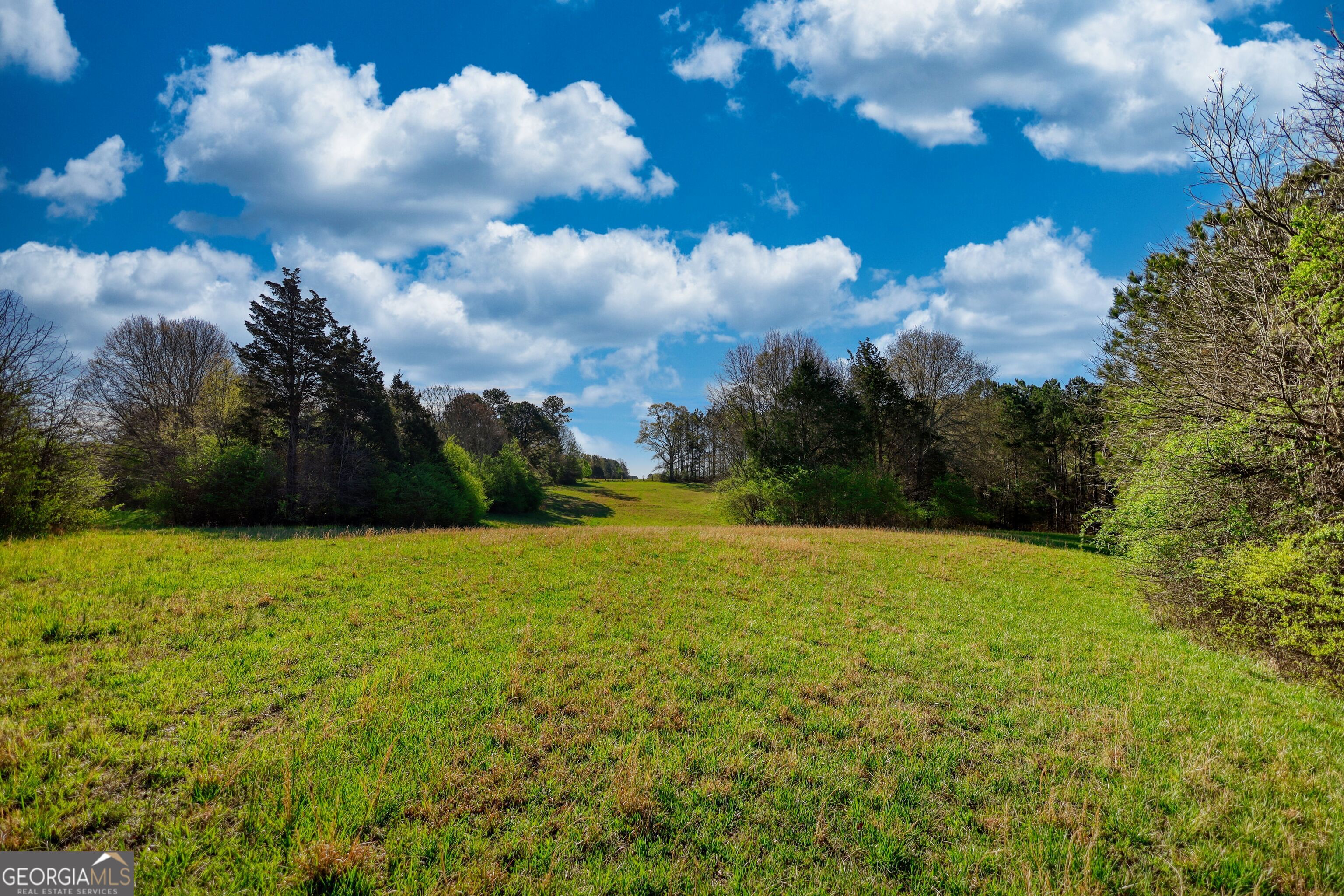 610 Loth Wages Road Dacula, GA 30019 - Photo 21 of 48 a view of outdoor space and yard