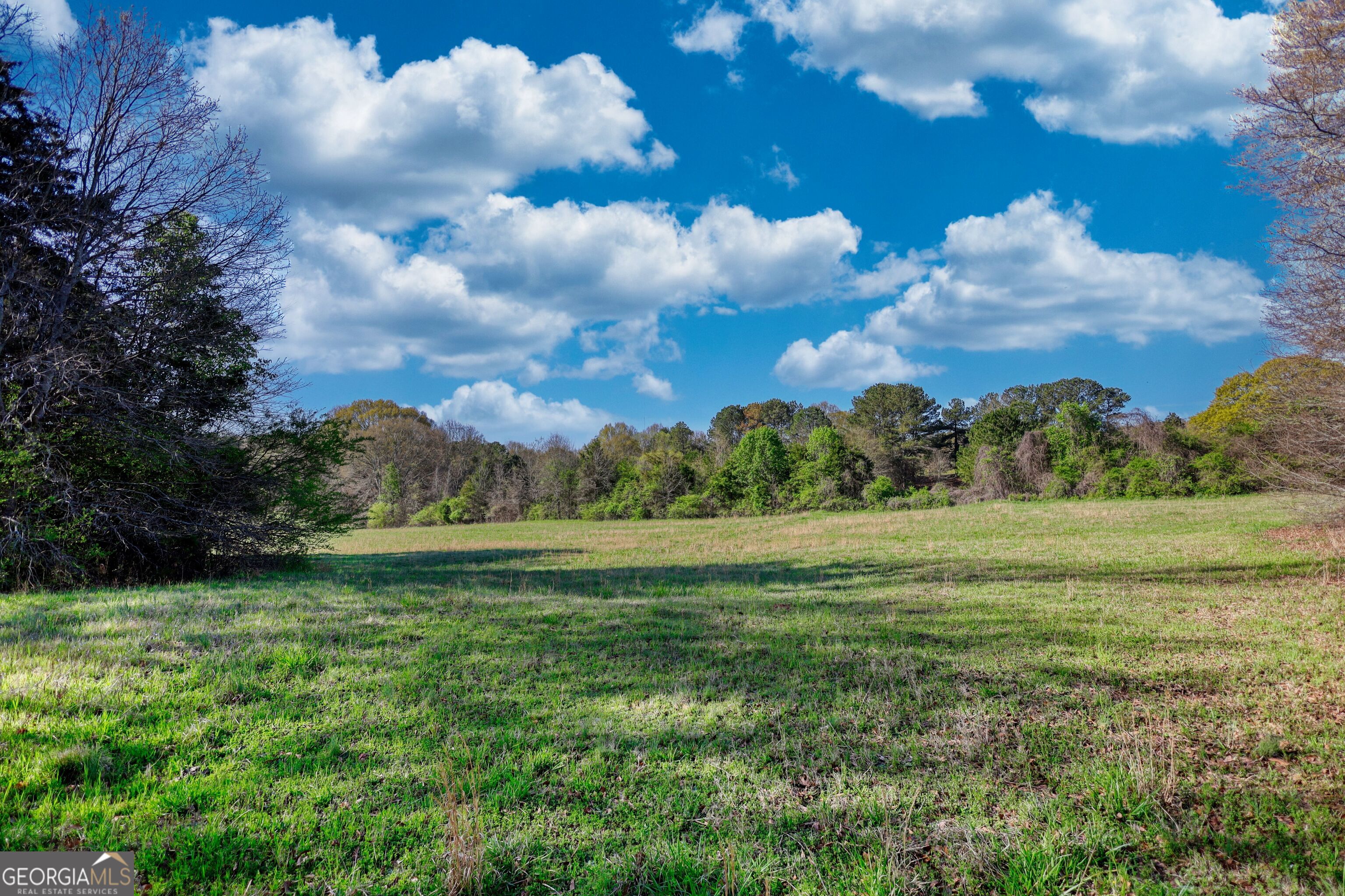 610 Loth Wages Road Dacula, GA 30019 - Photo 25 of 48 a view of an outdoor space and a yard