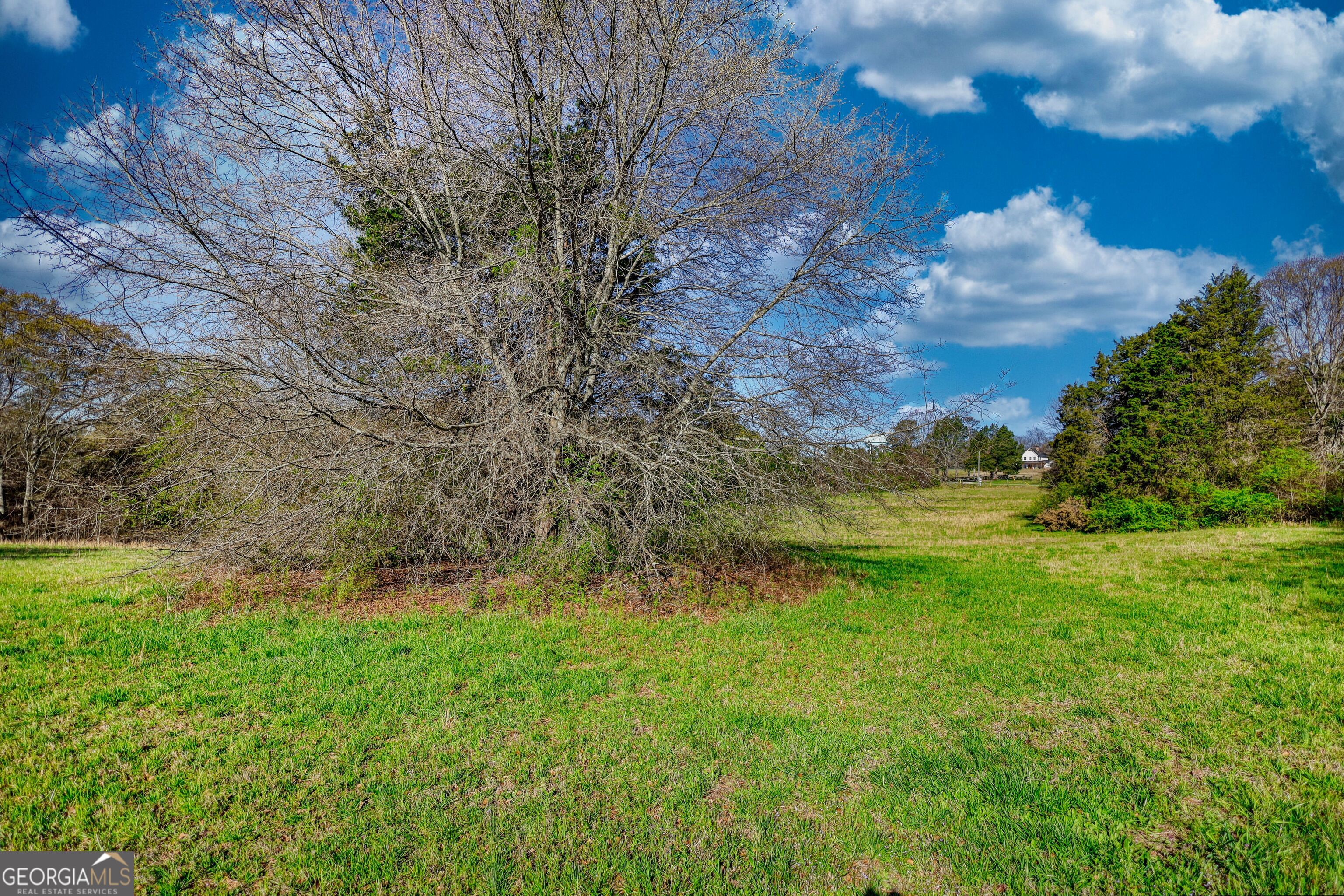 610 Loth Wages Road Dacula, GA 30019 - Photo 26 of 48 a view of a yard with large trees