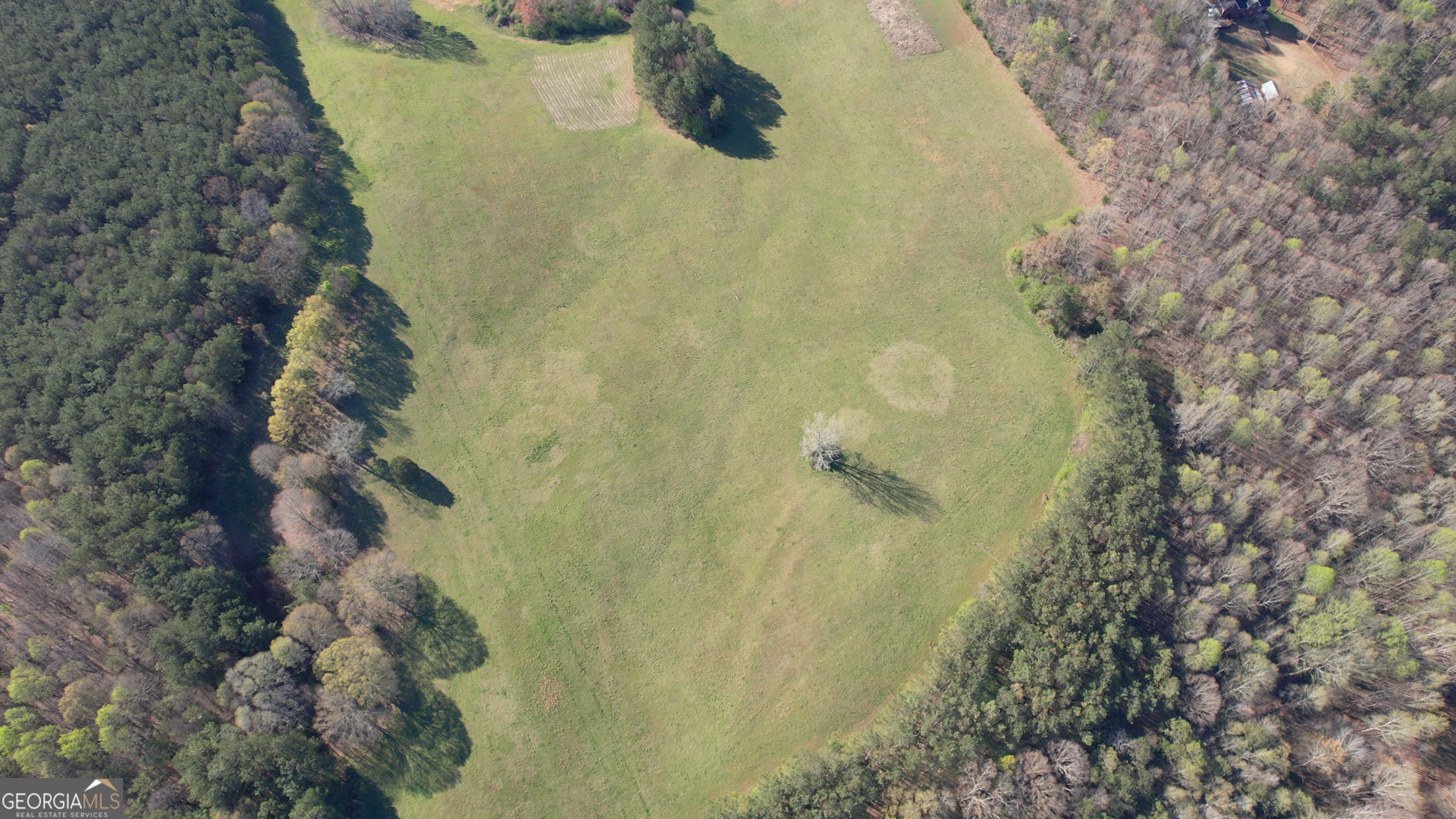 610 Loth Wages Road Dacula, GA 30019 - Photo 38 of 48 a bathroom with a shower