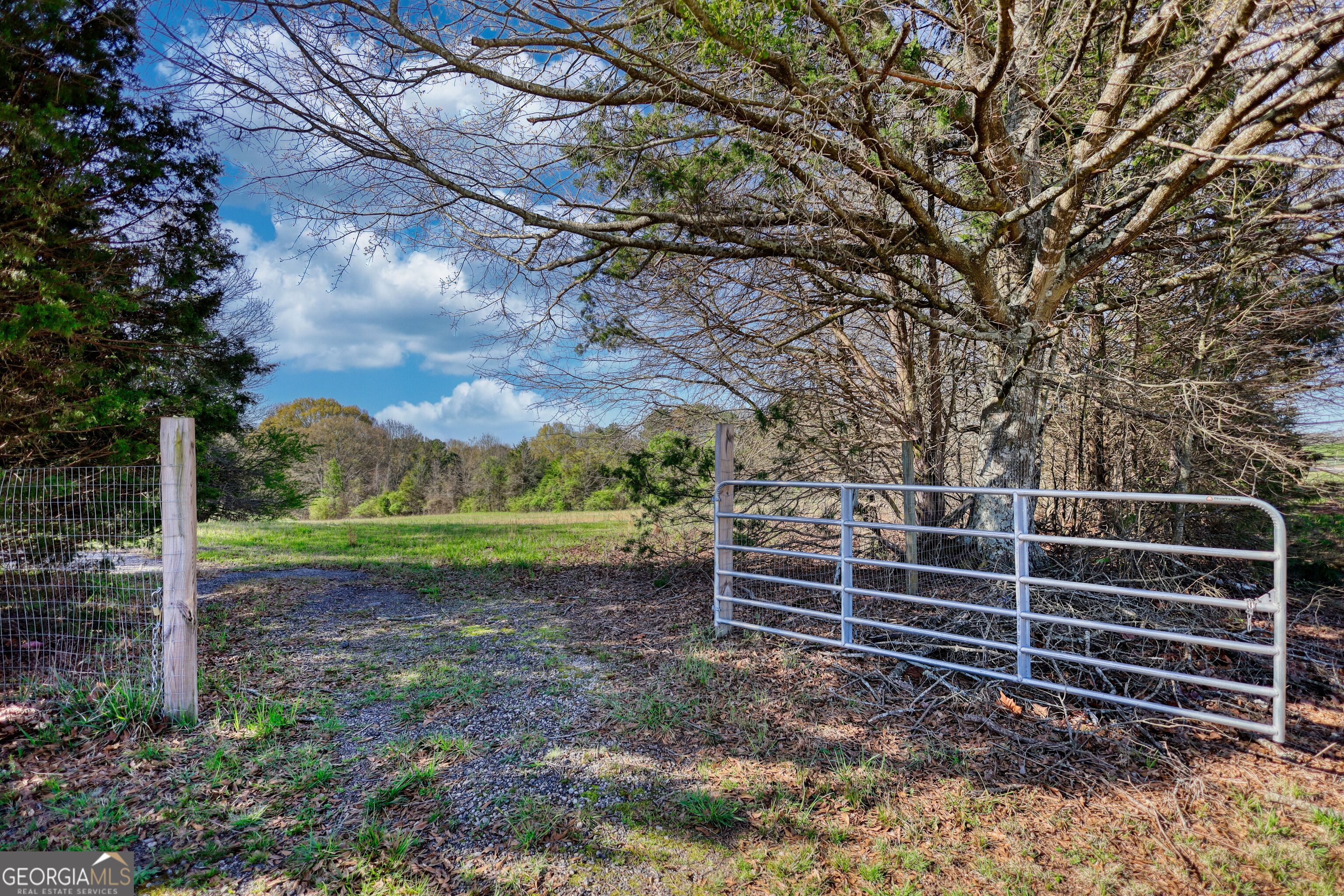 610 Loth Wages Road Dacula, GA 30019 - Photo 6 of 48 a view of a house with a yard