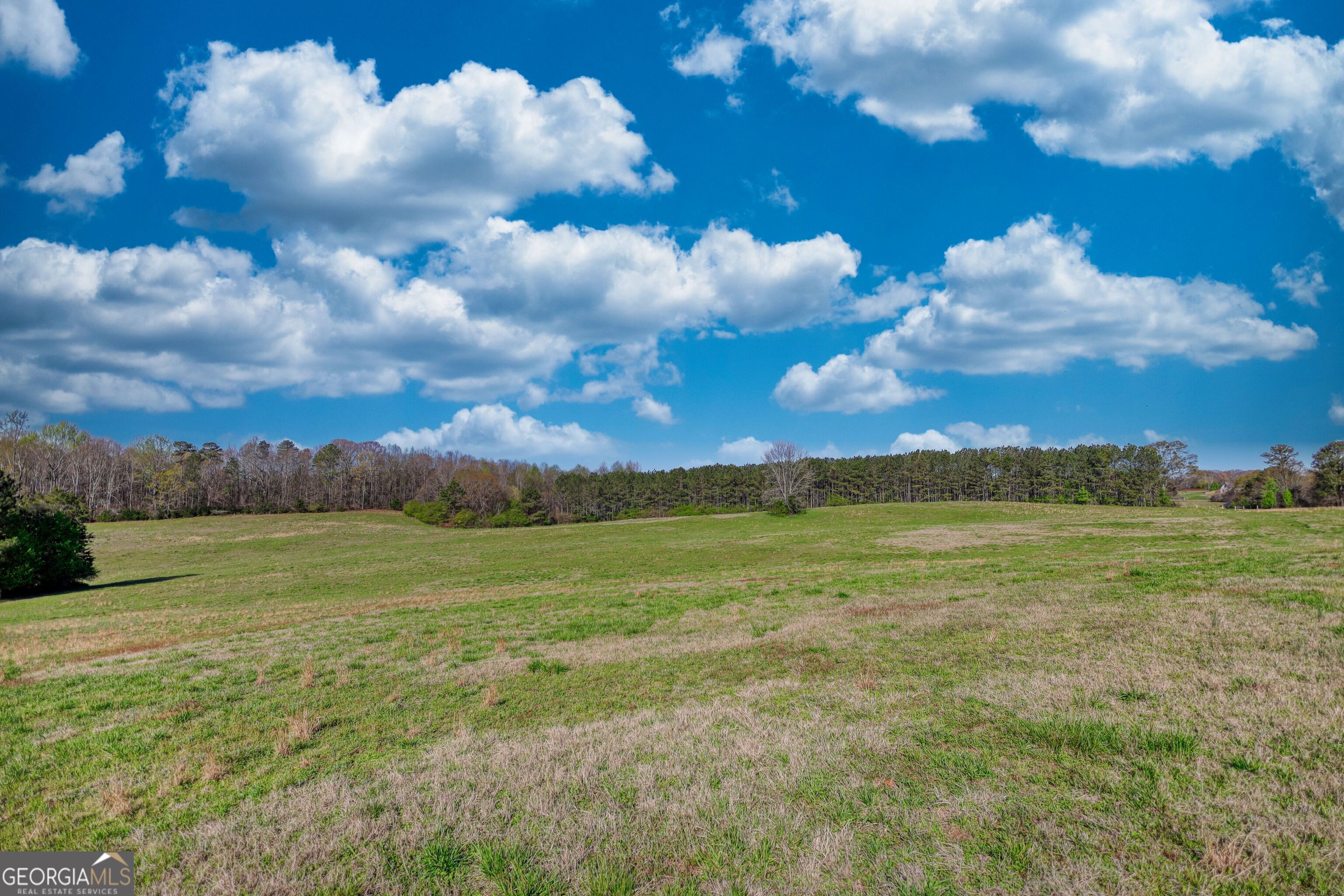 610 Loth Wages Road Dacula, GA 30019 - Photo 8 of 48 a view of an ocean and a yard