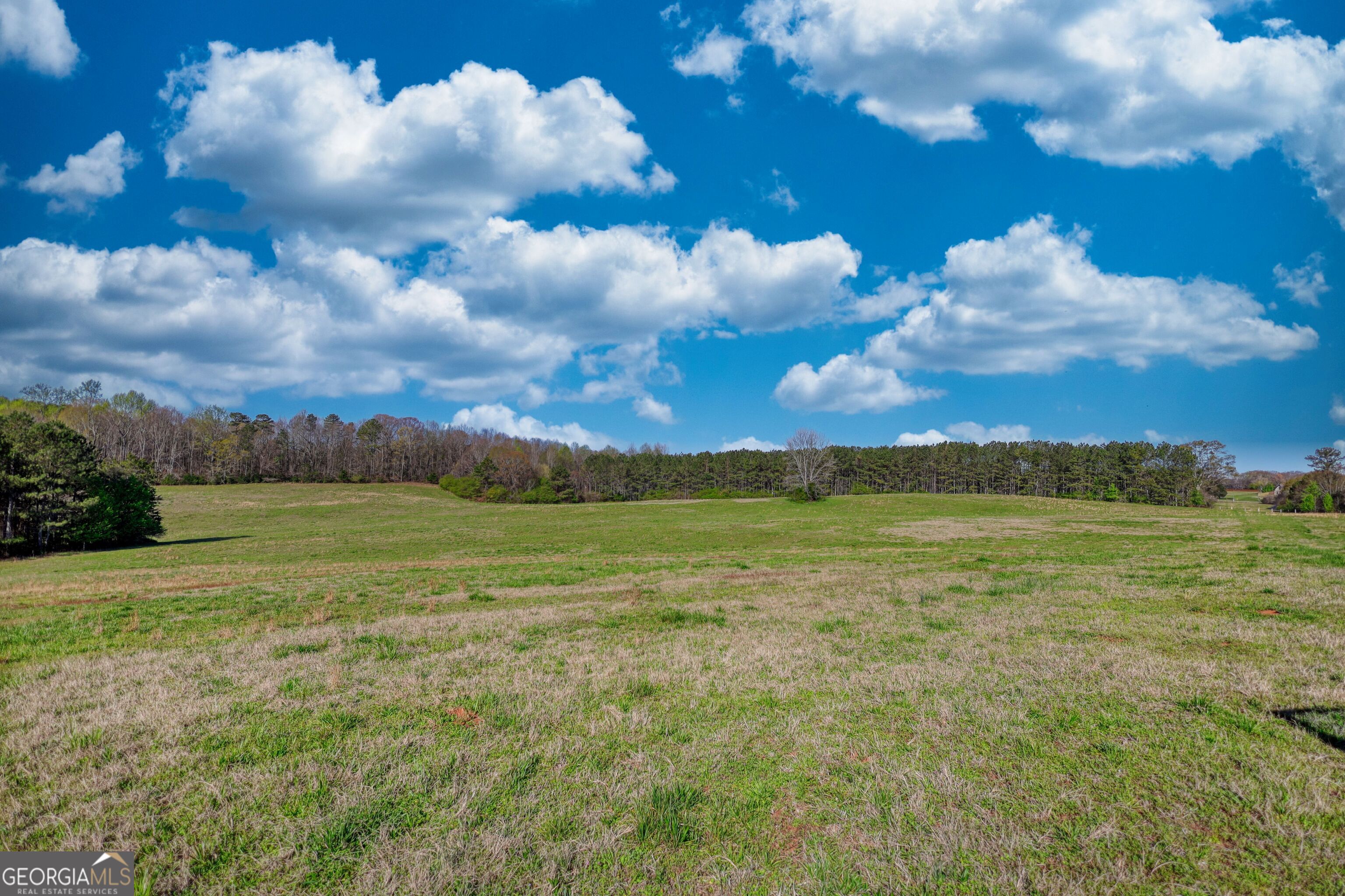 610 Loth Wages Road Dacula, GA 30019 - Photo 9 of 48 a view of an ocean and a yard