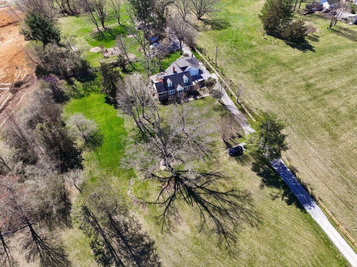779 Catawba Road Daleville, VA 24083 - Photo 55 of 56 a view of a yard with plants and large trees