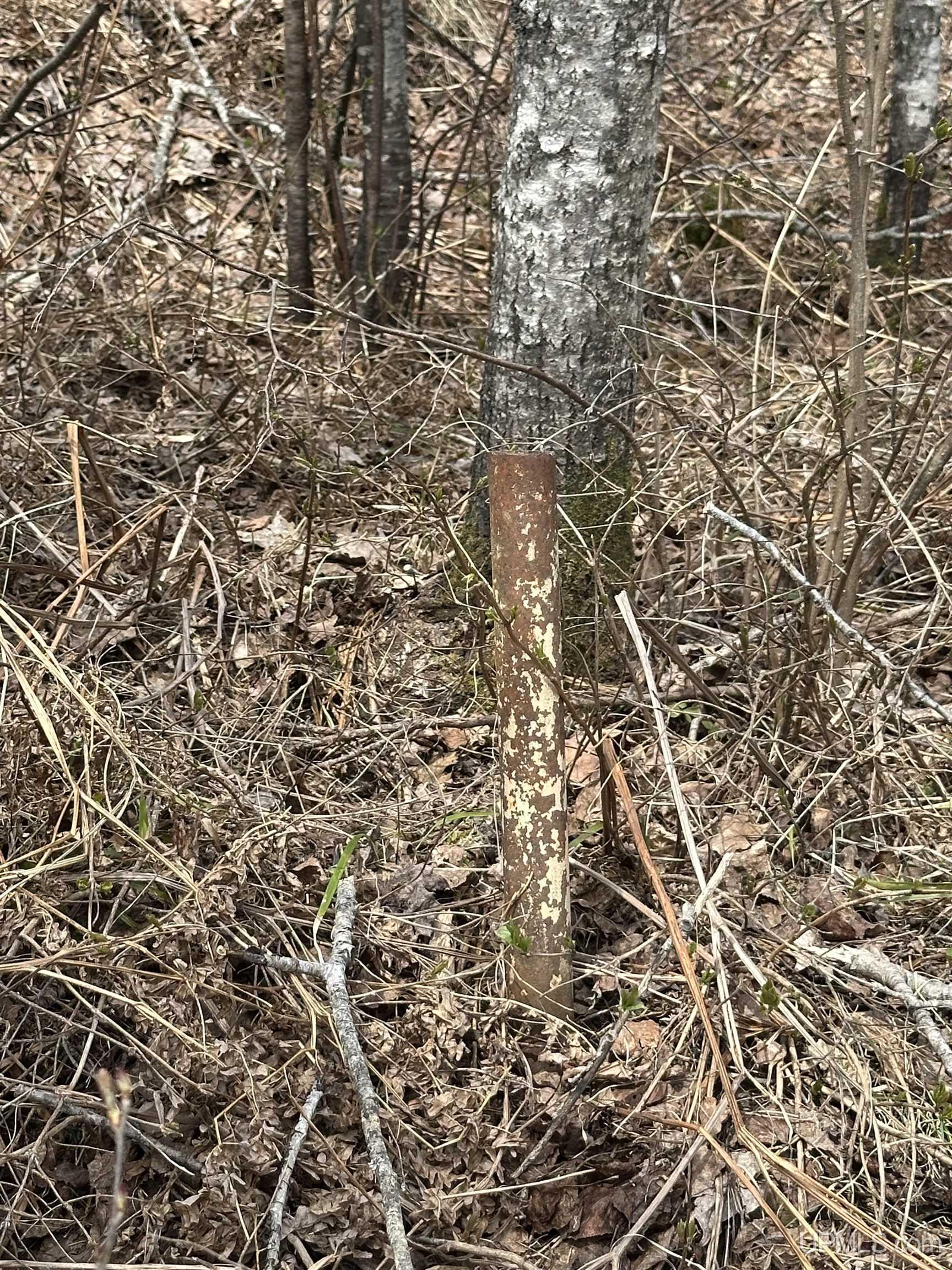Tbd Net River Road Crystal Falls, MI 49920 - Photo 8 of 12