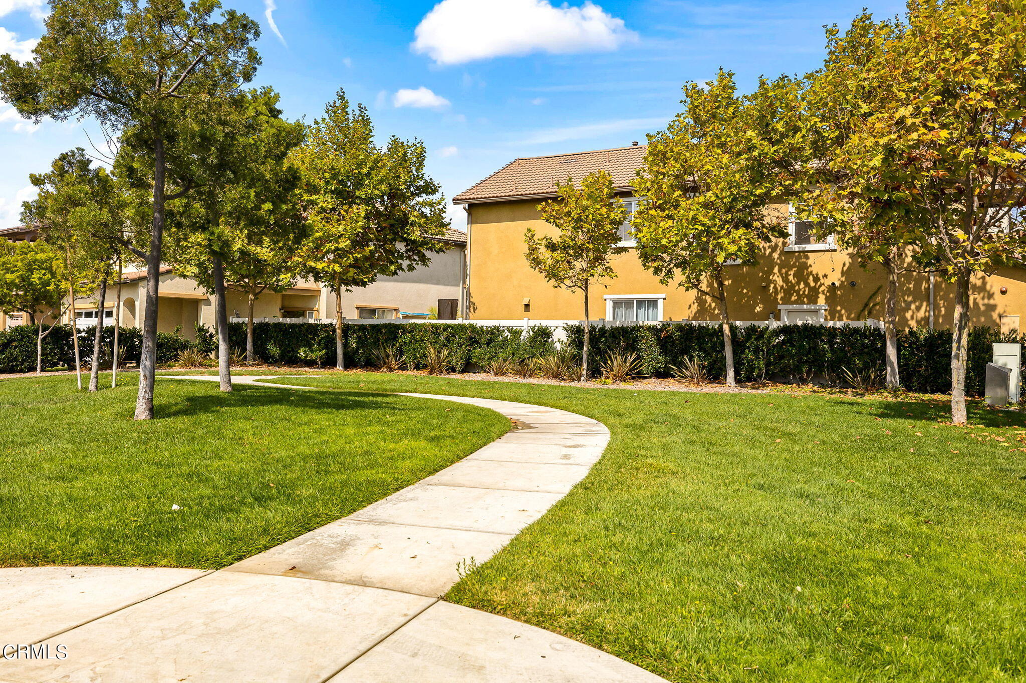 528 Field Street Oxnard, CA 93033 - Photo 18 of 24 a view of a park with large trees