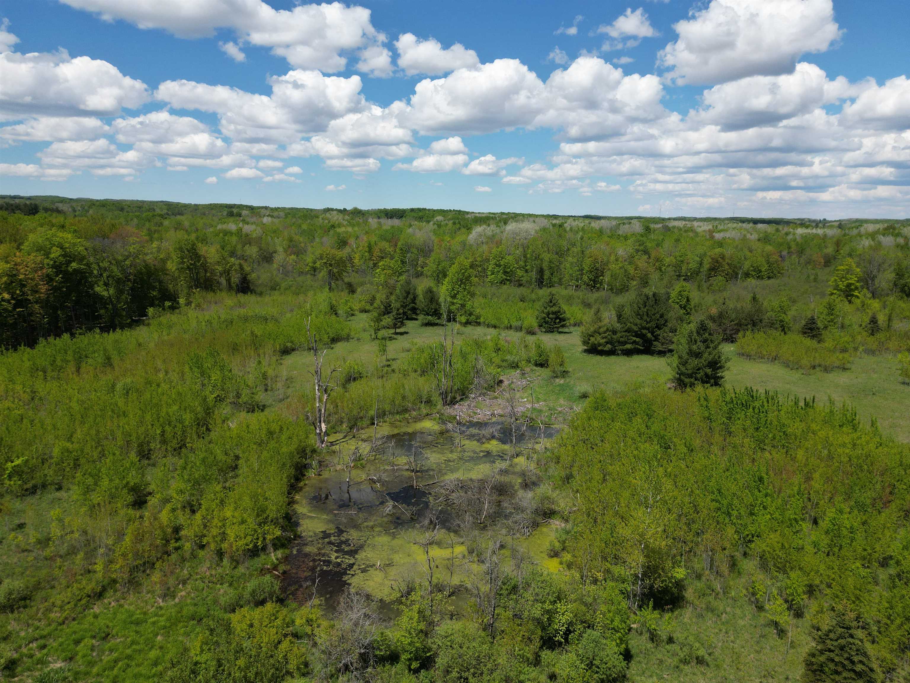 19 Mile Road Kingsley, MI 49649 - Photo 16 of 30