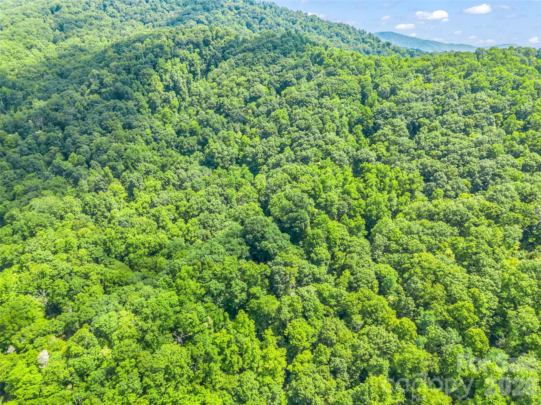 20 Kimberly Road Black Mountain, NC 28711 - Photo 41 of 46