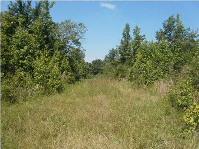 1 Loring Road Pickens, MS 39146 - Photo 1 of 2 Photo 1