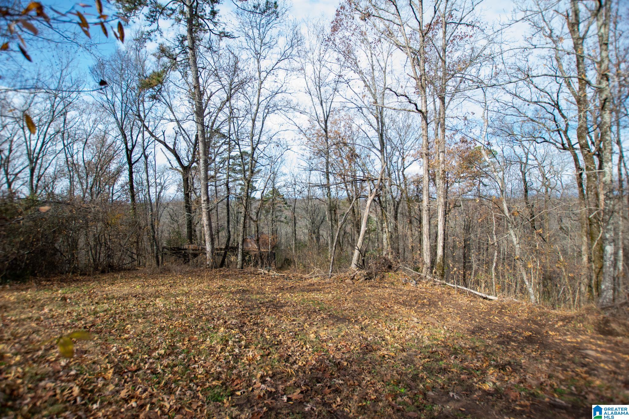 543 Young Road Remlap, AL 35133 - Photo 44 of 46