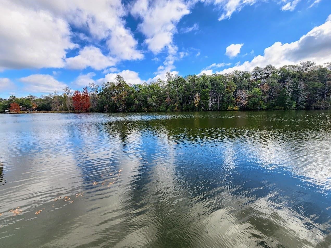 26556 Bush Isle Road Andalusia, AL 36421 - Photo 24 of 40 Gallery Image 24