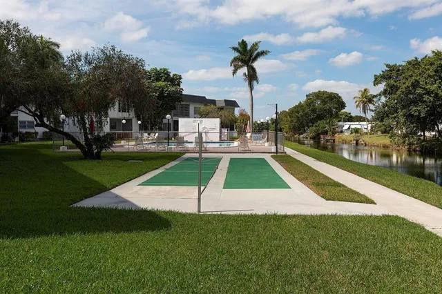 a view of a backyard with plants and palm tree