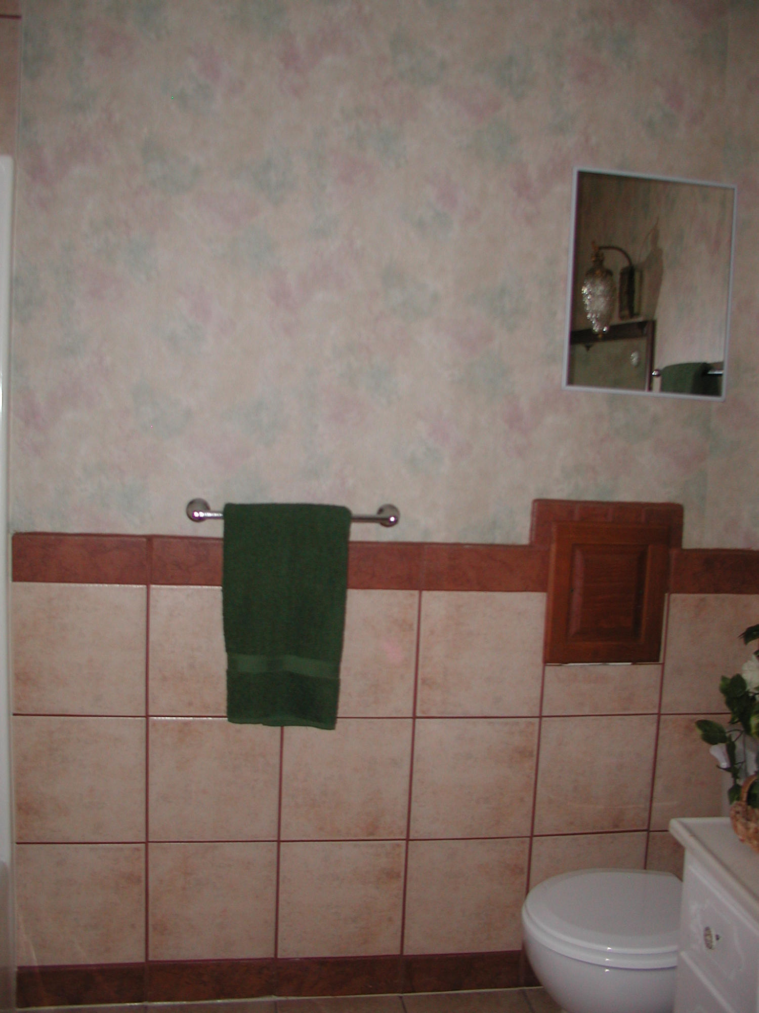 204 Doc Norton Road, Unit 1 Maryville, TN 37804 - Photo 20 of 36 Hall Bath (3)