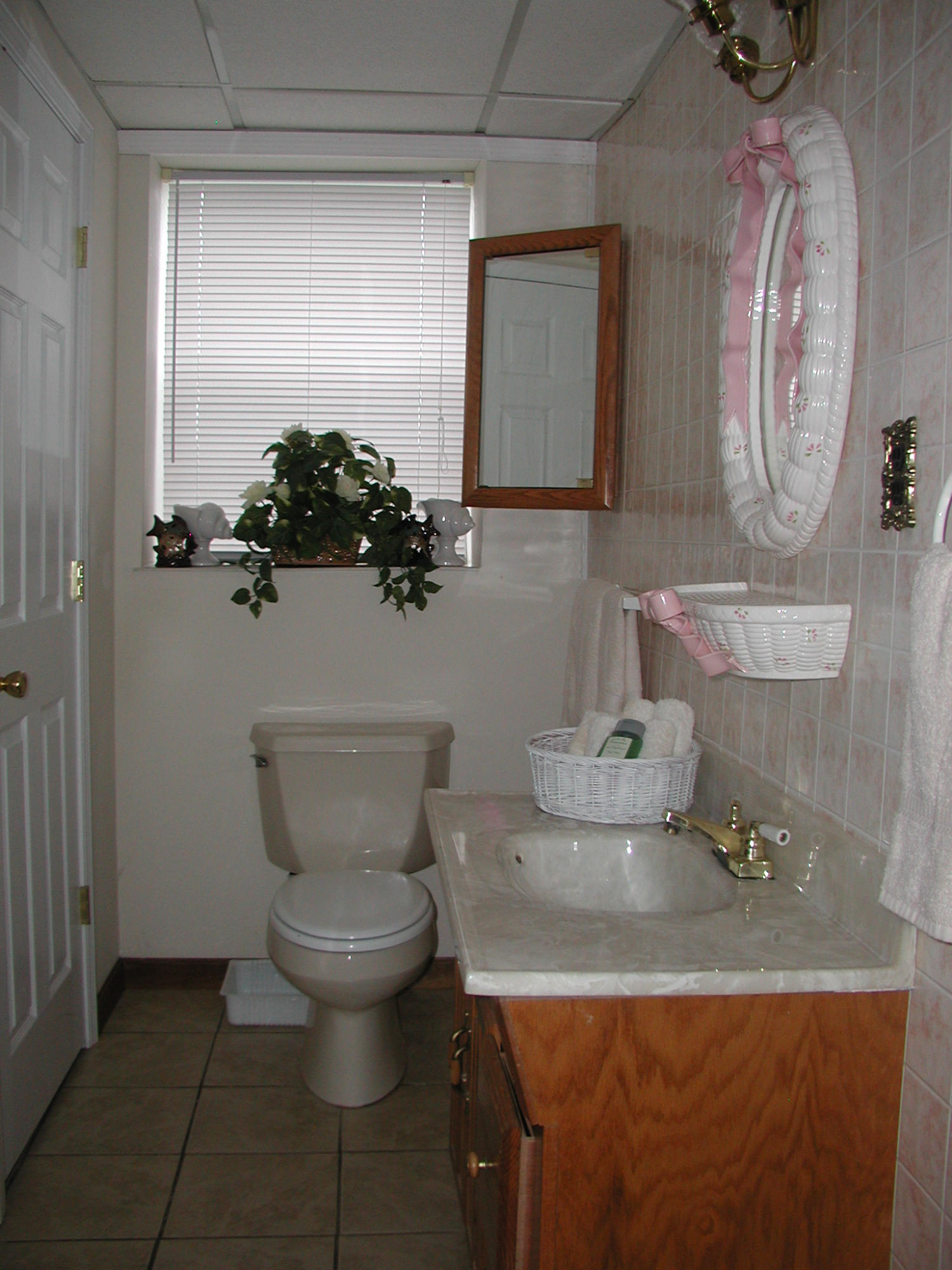 204 Doc Norton Road, Unit 1 Maryville, TN 37804 - Photo 32 of 36 Bsmt Bath (2)