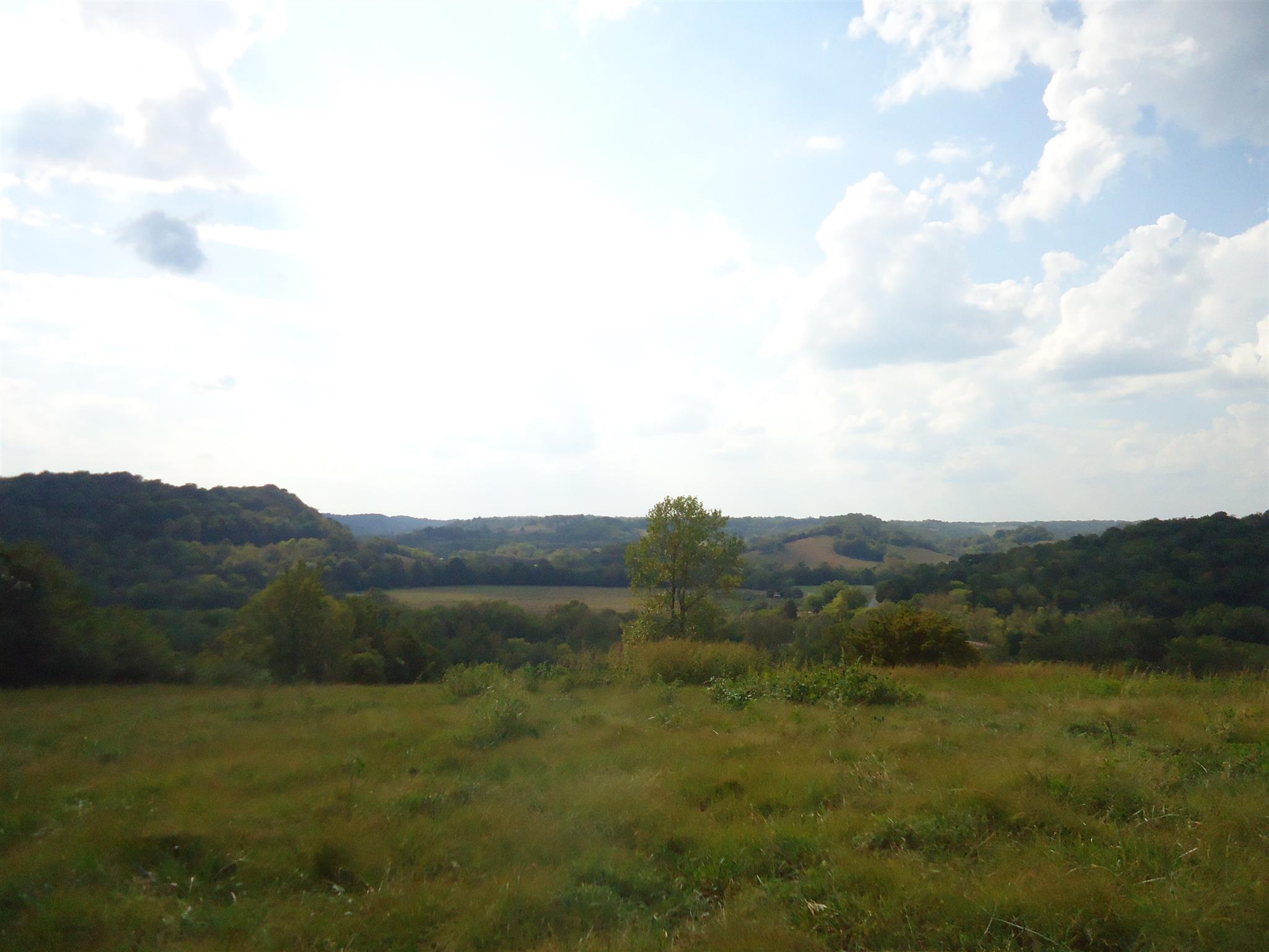 239 Loyd Road Pulaski, TN 38478 - Photo 16 of 19 a view of a field of mountains and valleys