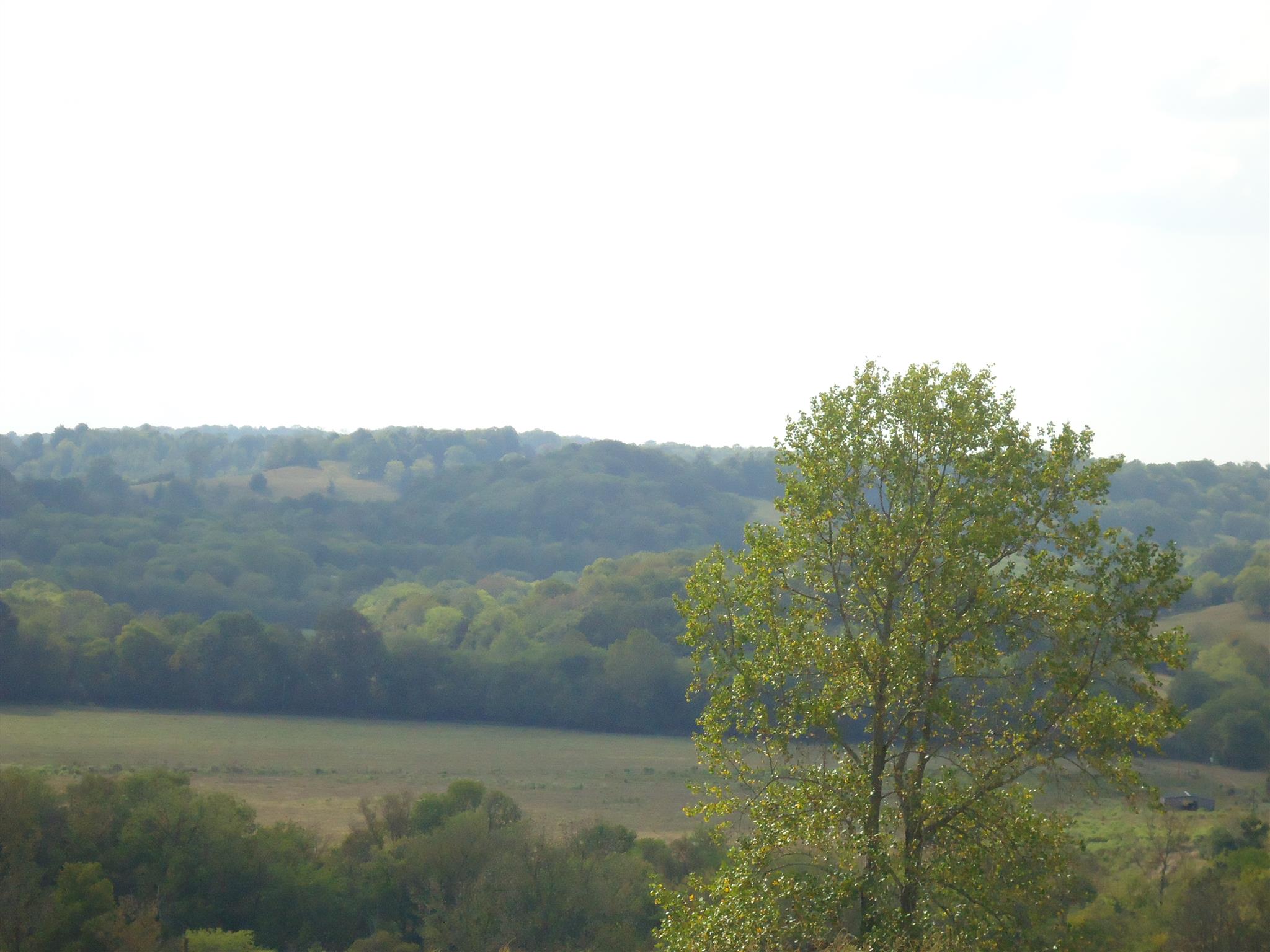 239 Loyd Road Pulaski, TN 38478 - Photo 17 of 19 a view of an outdoor space and mountains