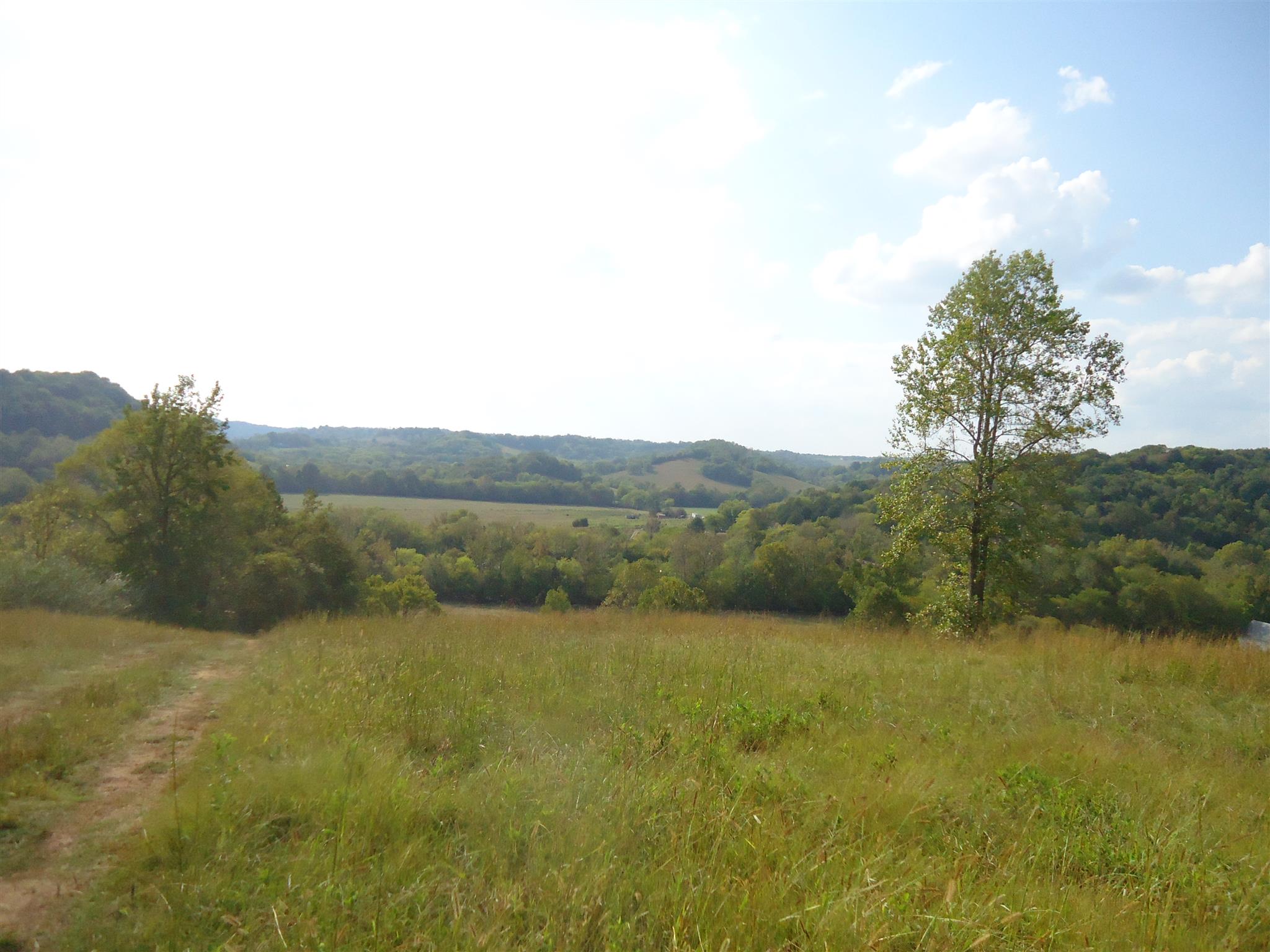 239 Loyd Road Pulaski, TN 38478 - Photo 18 of 19 a view of mountain with lake view