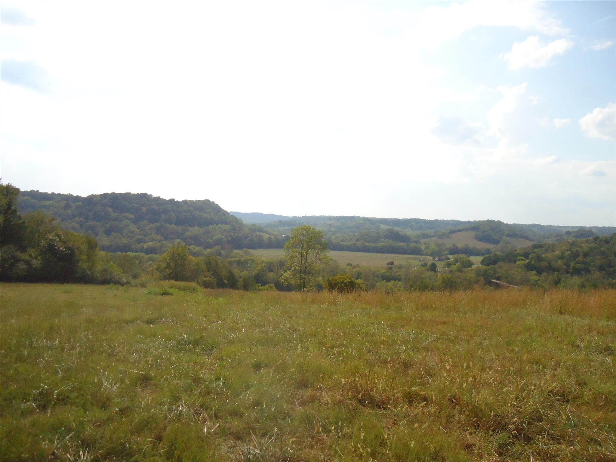 239 Loyd Road Pulaski, TN 38478 - Photo 19 of 19 a view of mountain with lake view