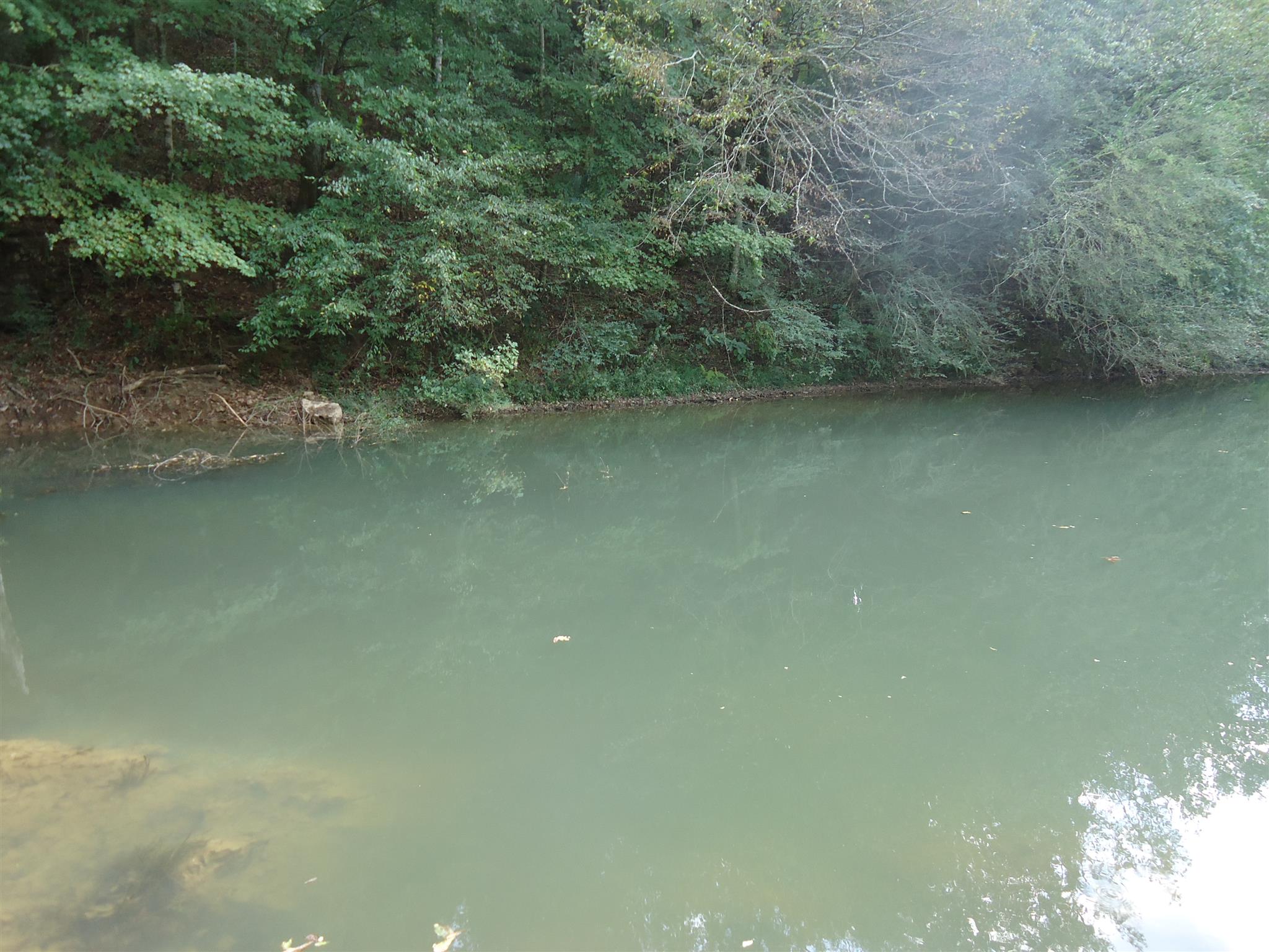 239 Loyd Road Pulaski, TN 38478 - Photo 2 of 19 a view of lake background