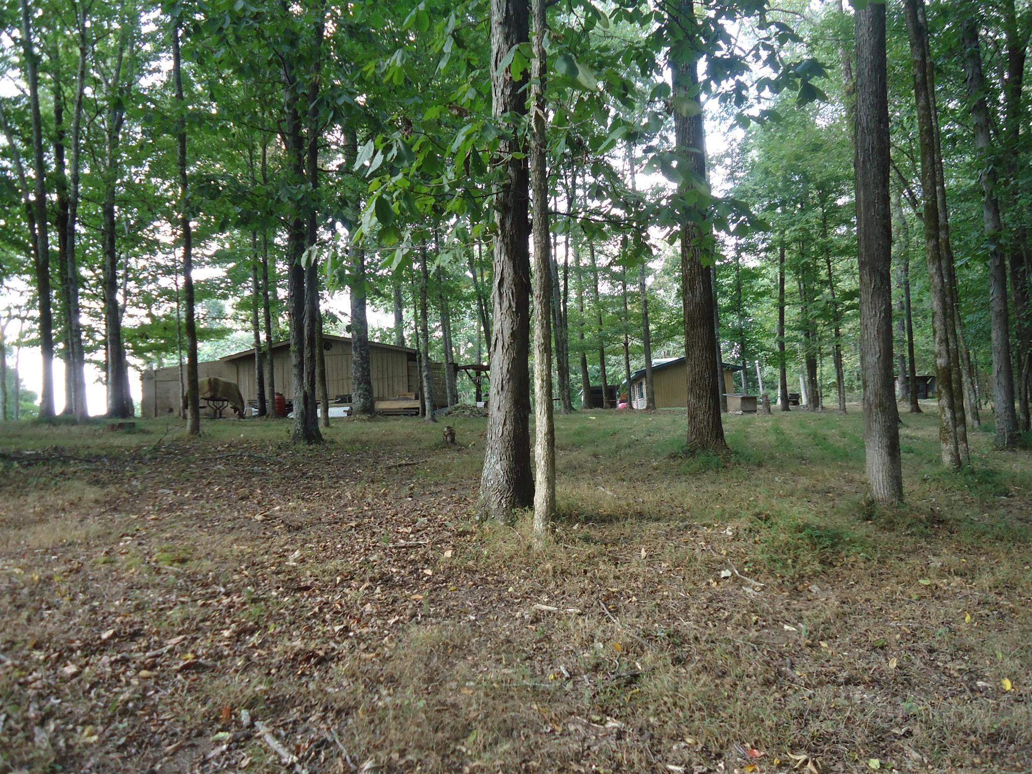 239 Loyd Road Pulaski, TN 38478 - Photo 8 of 19 a view of outdoor space with trees