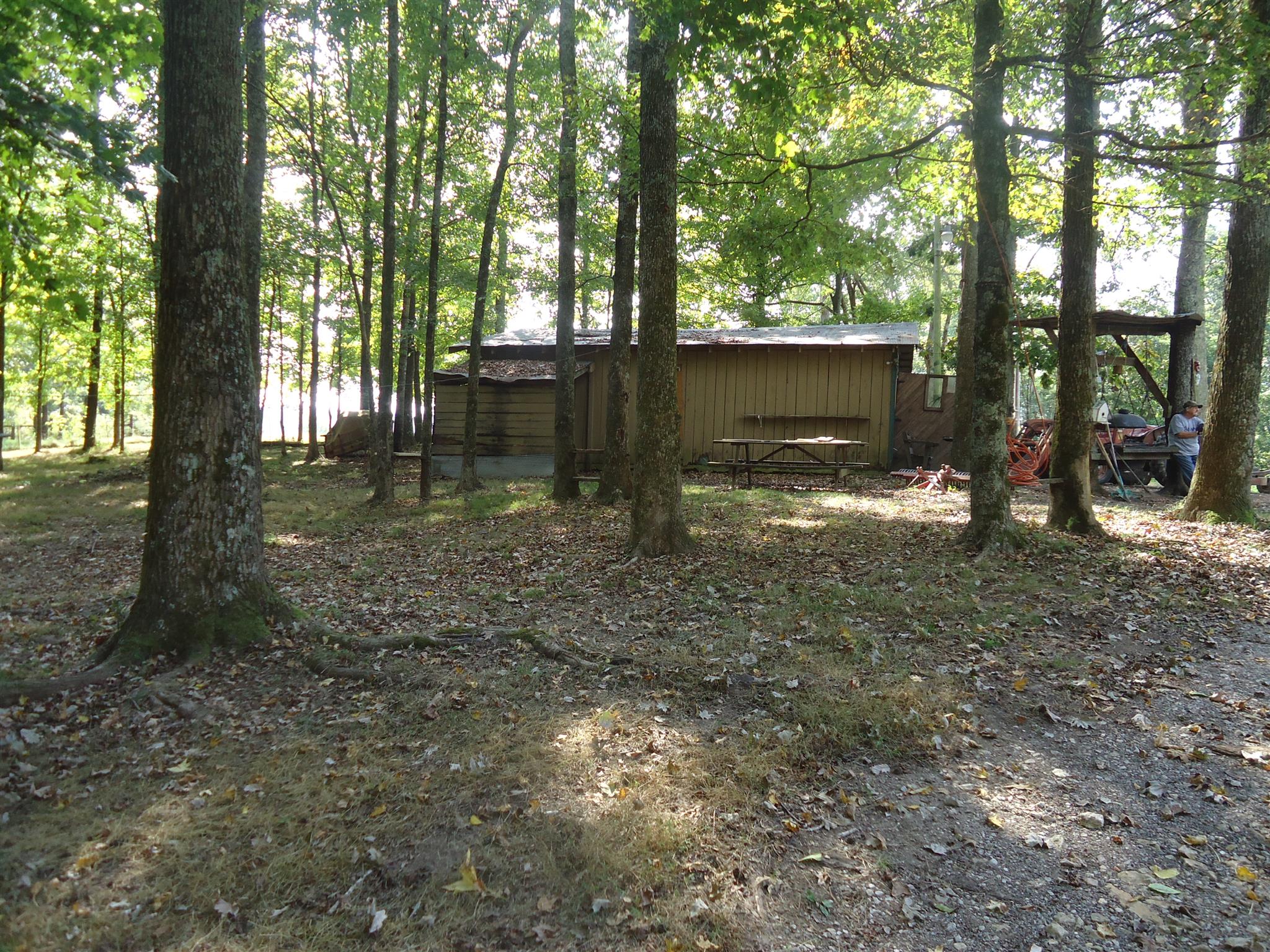 239 Loyd Road Pulaski, TN 38478 - Photo 10 of 19 a view of a yard with tree s
