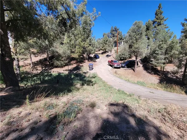 a view of a park with large trees