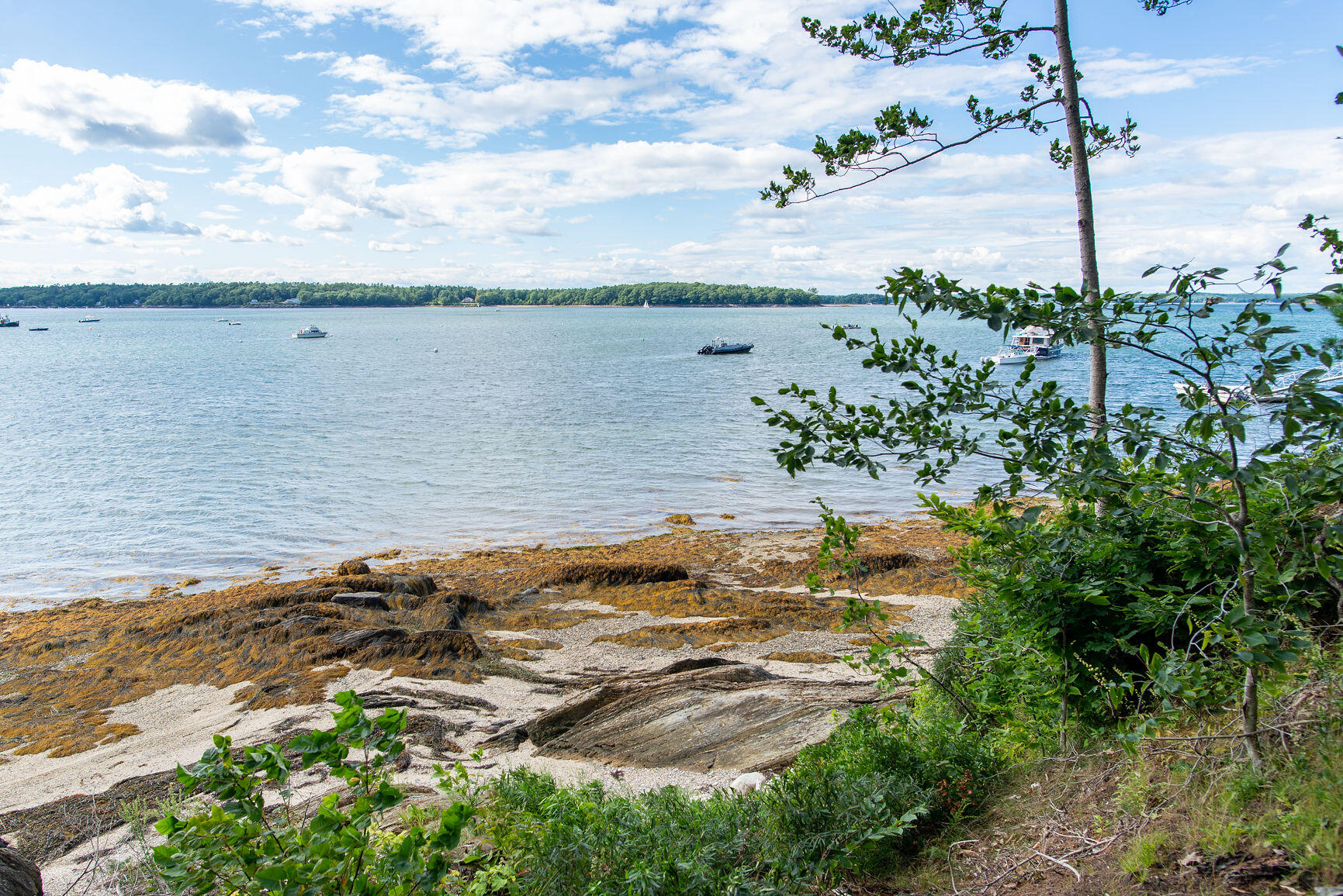 19 West View Road Chebeague Island, ME 04017 - Photo 37 of 38 19-39