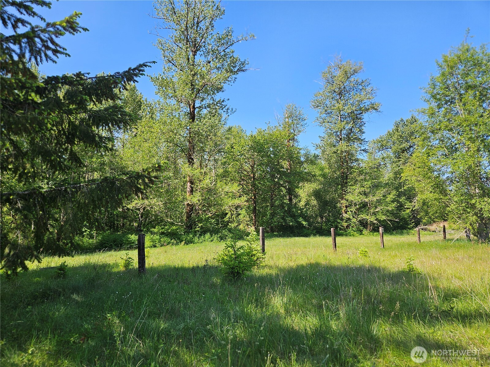 0 Park Junction Road East Elbe, WA 98330 - Photo 2 of 15