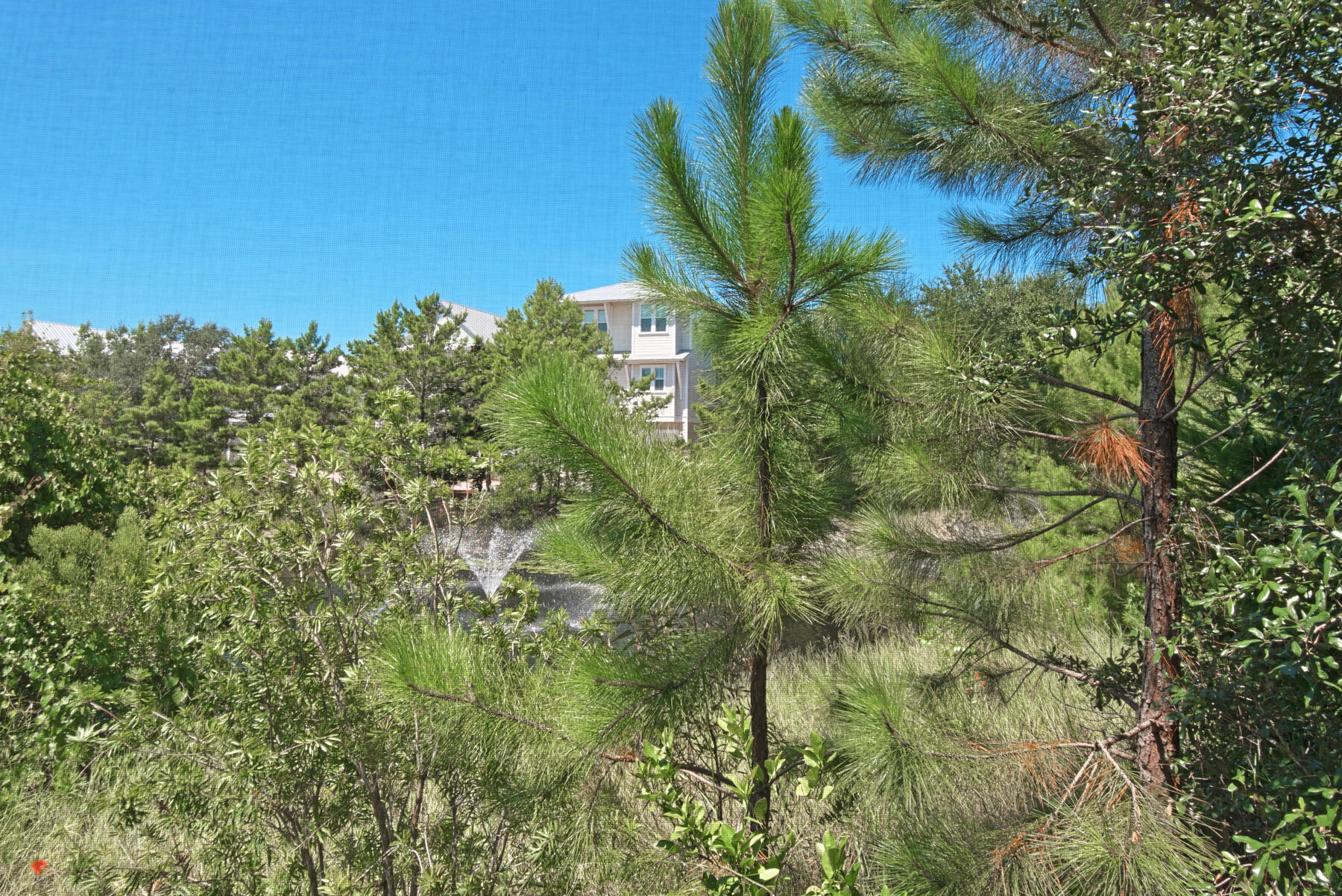 10 Gulfview Way Santa Rosa Beach, FL 32459 - Photo 19 of 30 a view of a plant in a garden