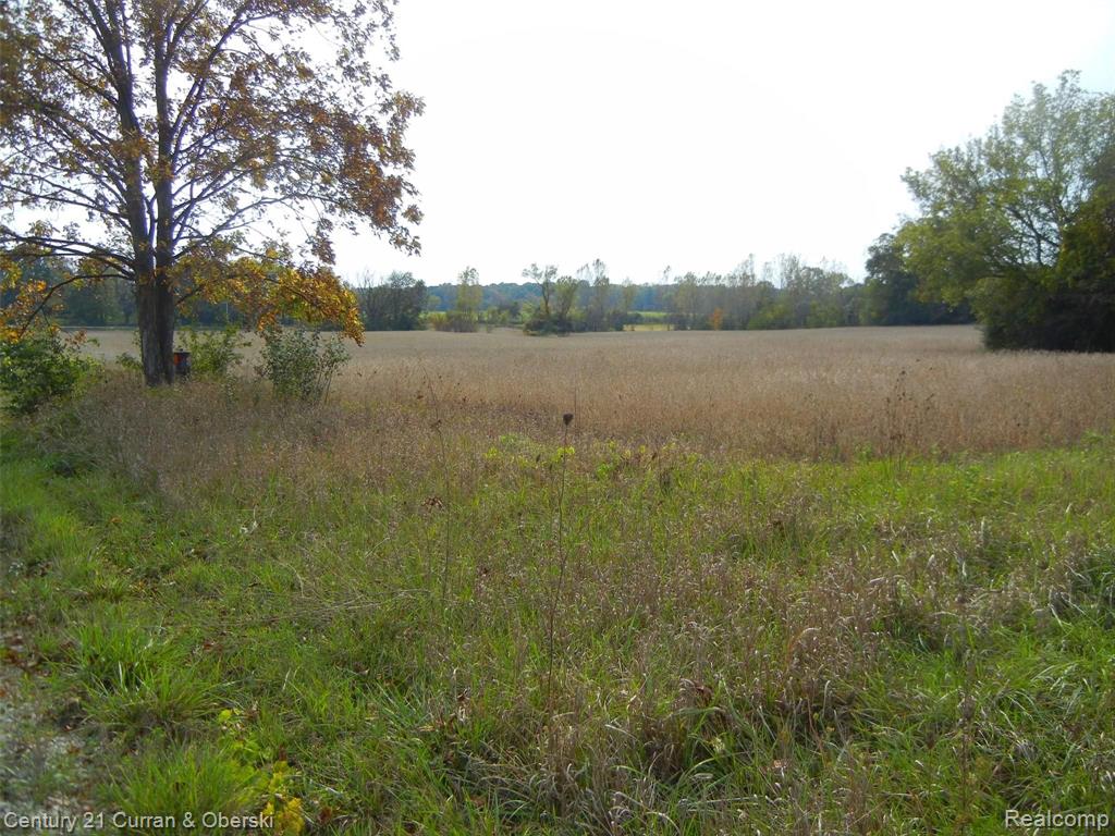 0 South Zeeb Road Ann Arbor, MI 48103 - Photo 12 of 14