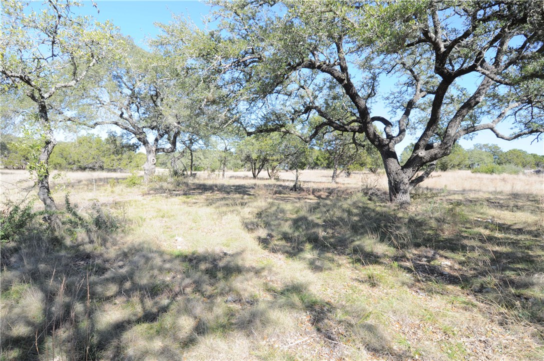 Tbd - Lot 6 Tbd - Road Dripping Springs, TX 78620 - Photo 1 of 1
