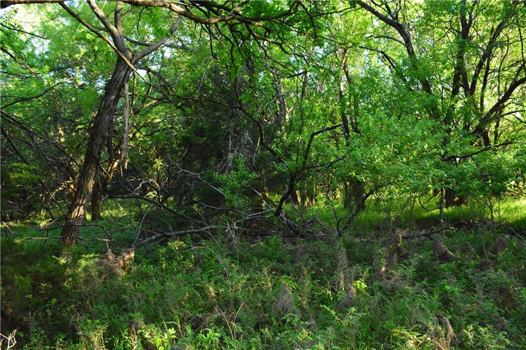 1673 17th Road Northeast Burlington, KS 66839 - Photo 19 of 24