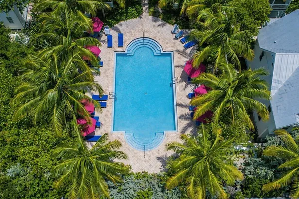 an aerial view of a flower around