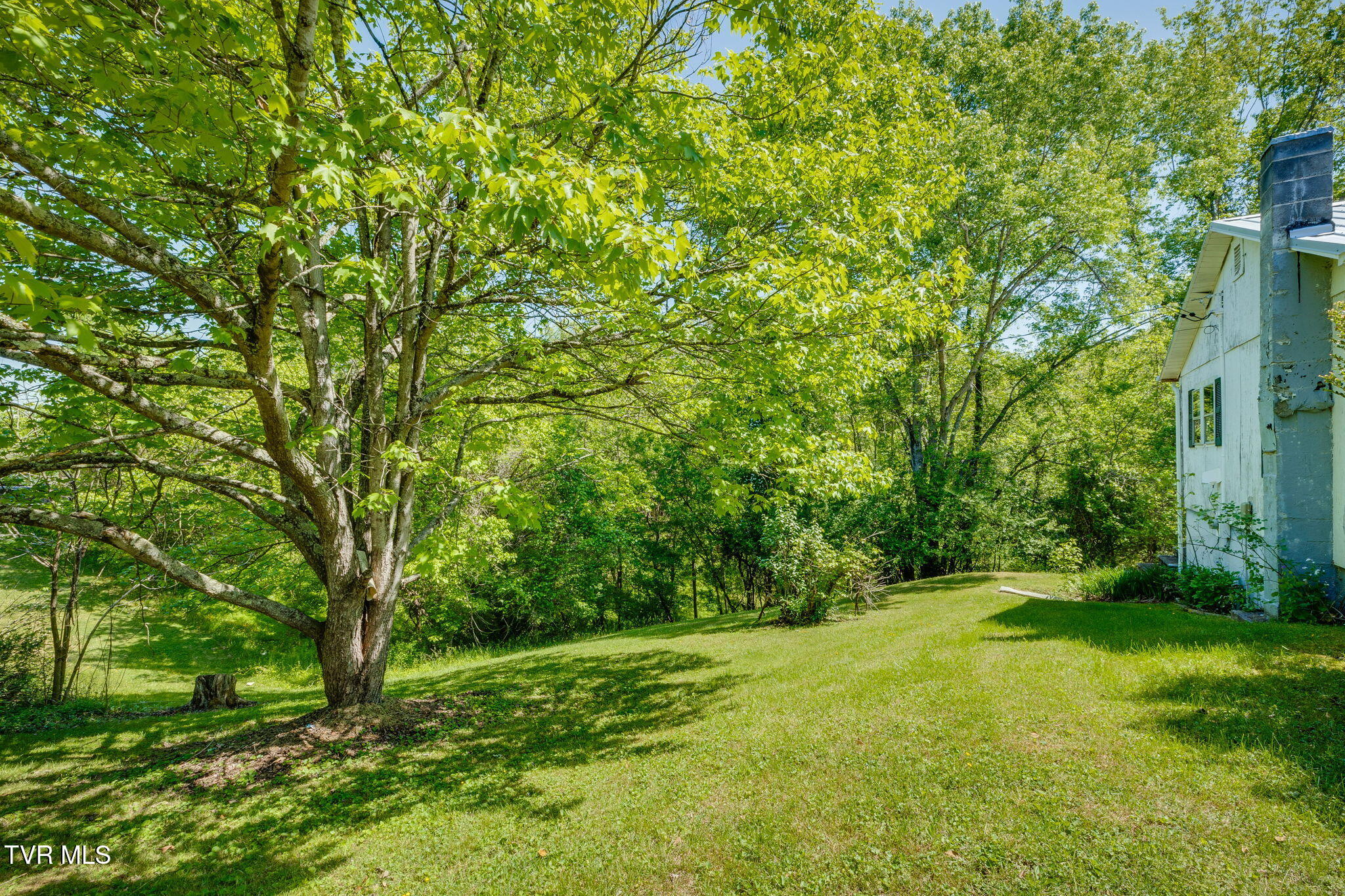1940 Allison Road Piney Flats, TN 37686 - Photo 6 of 32 022