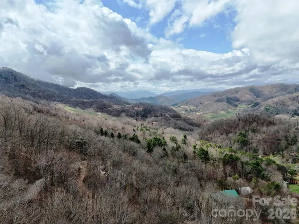 a view of a lot of trees