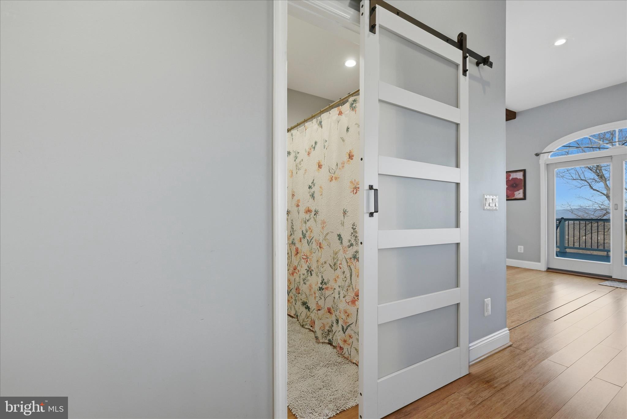 500 Delicious Road Linden, VA 22642 - Photo 17 of 69 Bathroom Entry